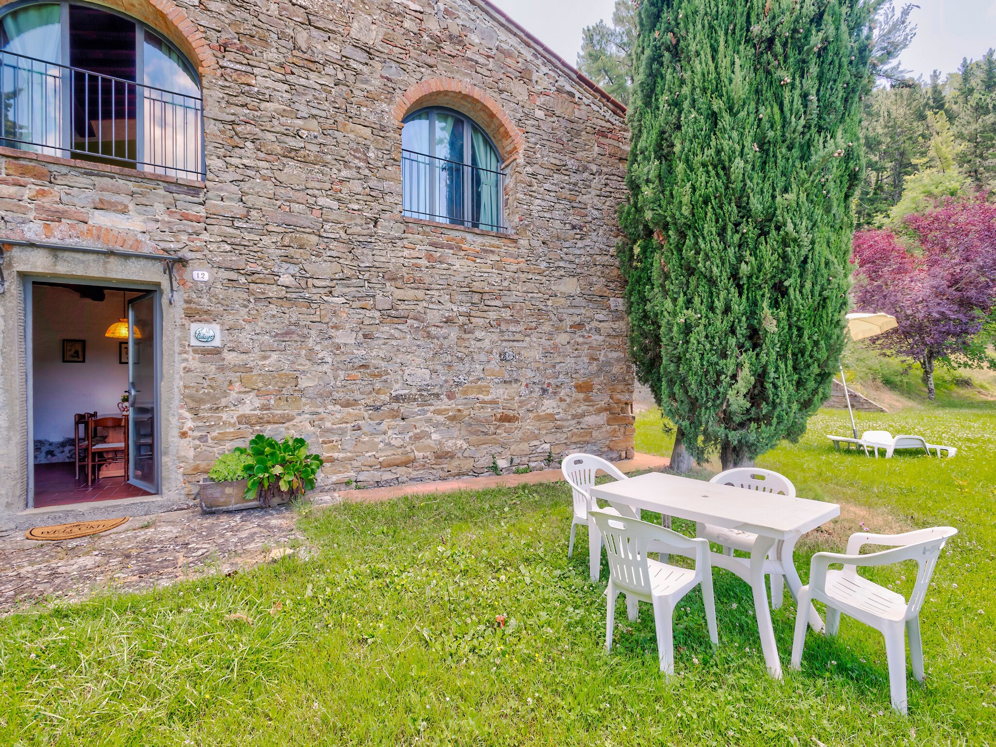   Castagno