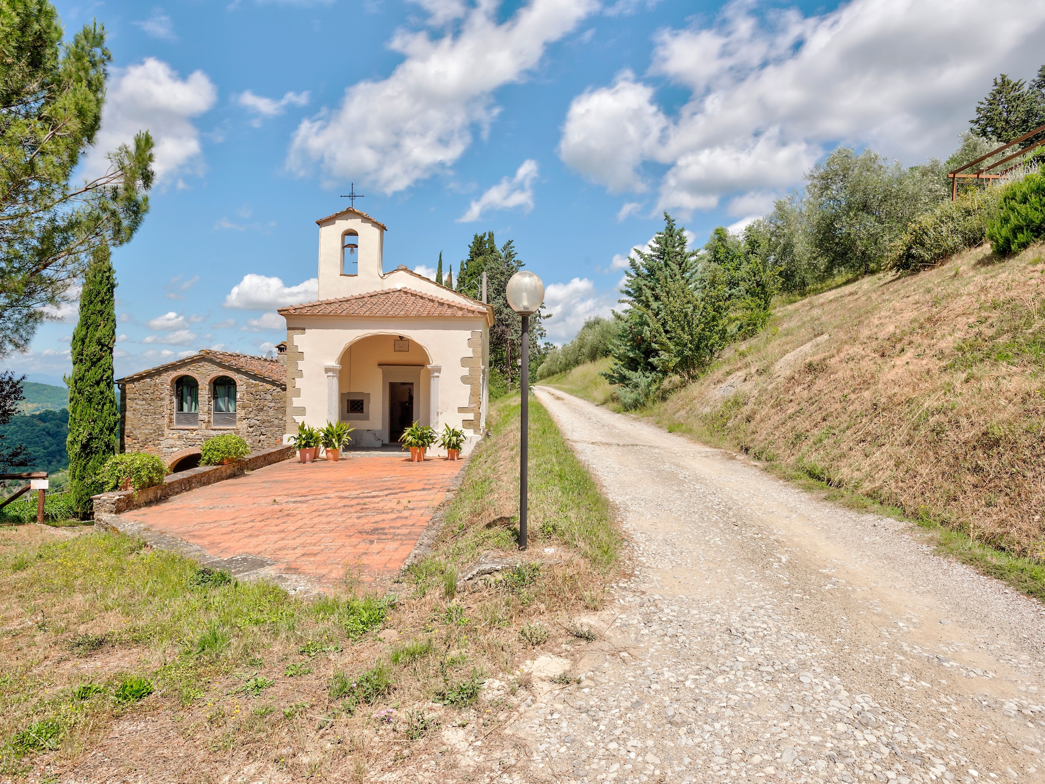   Castagno