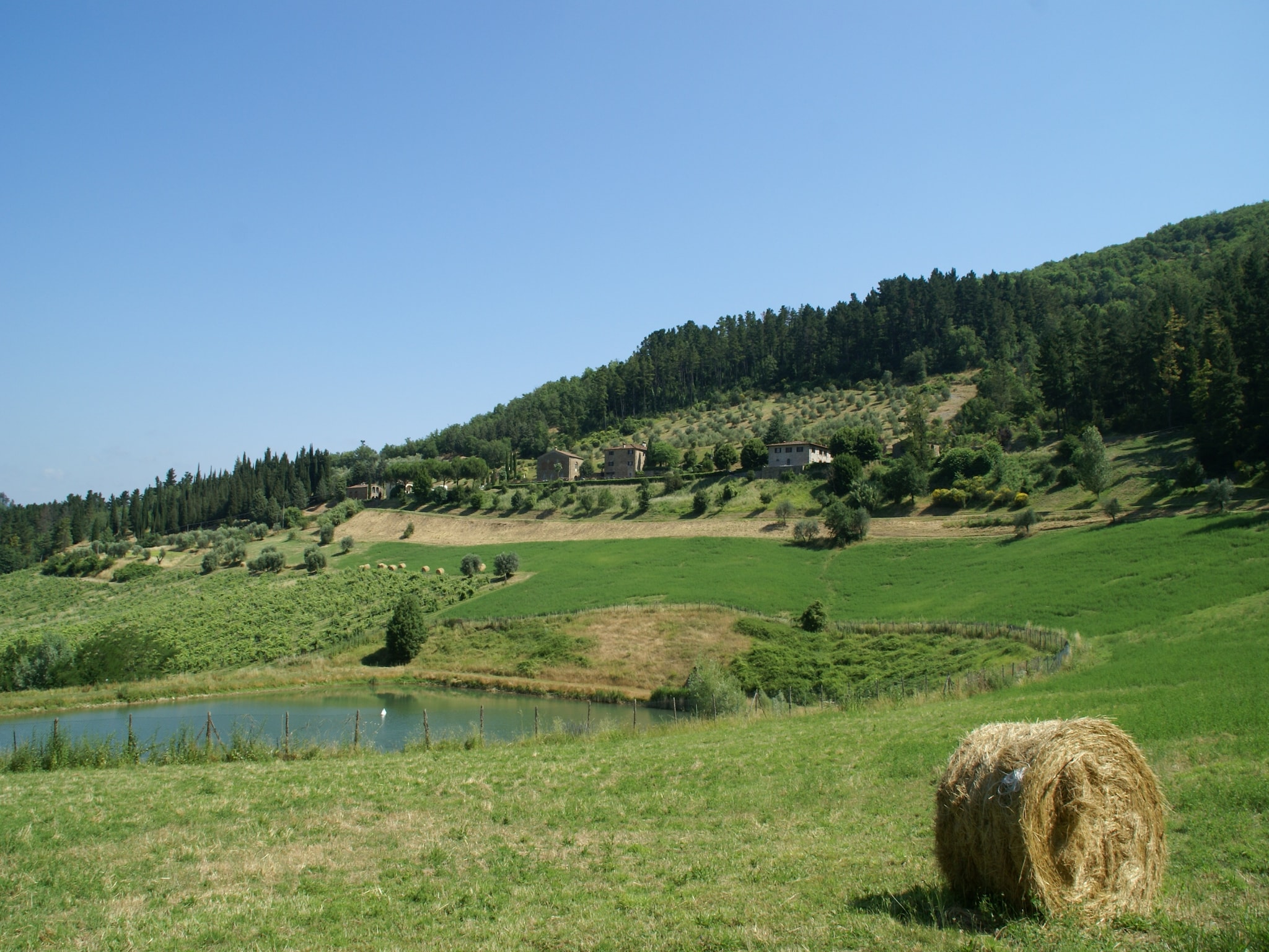   Villa Vivai