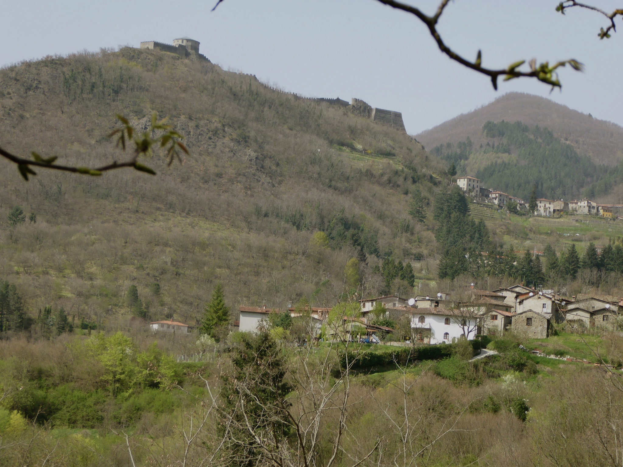 Feriebolig Villa Tortelli