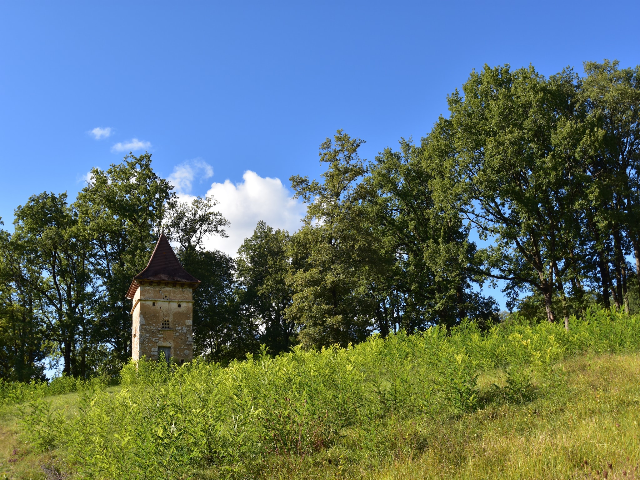   Maison de vacances - MONTFERRAND-DU-PÉRIGORD