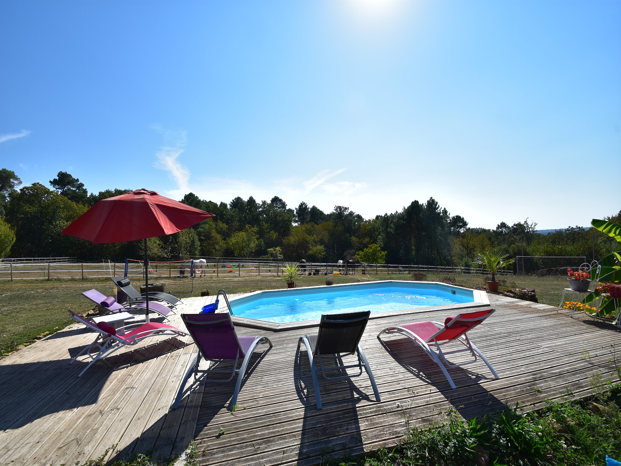   Maison de vacances - MONTFERRAND-DU-PÉRIGORD
