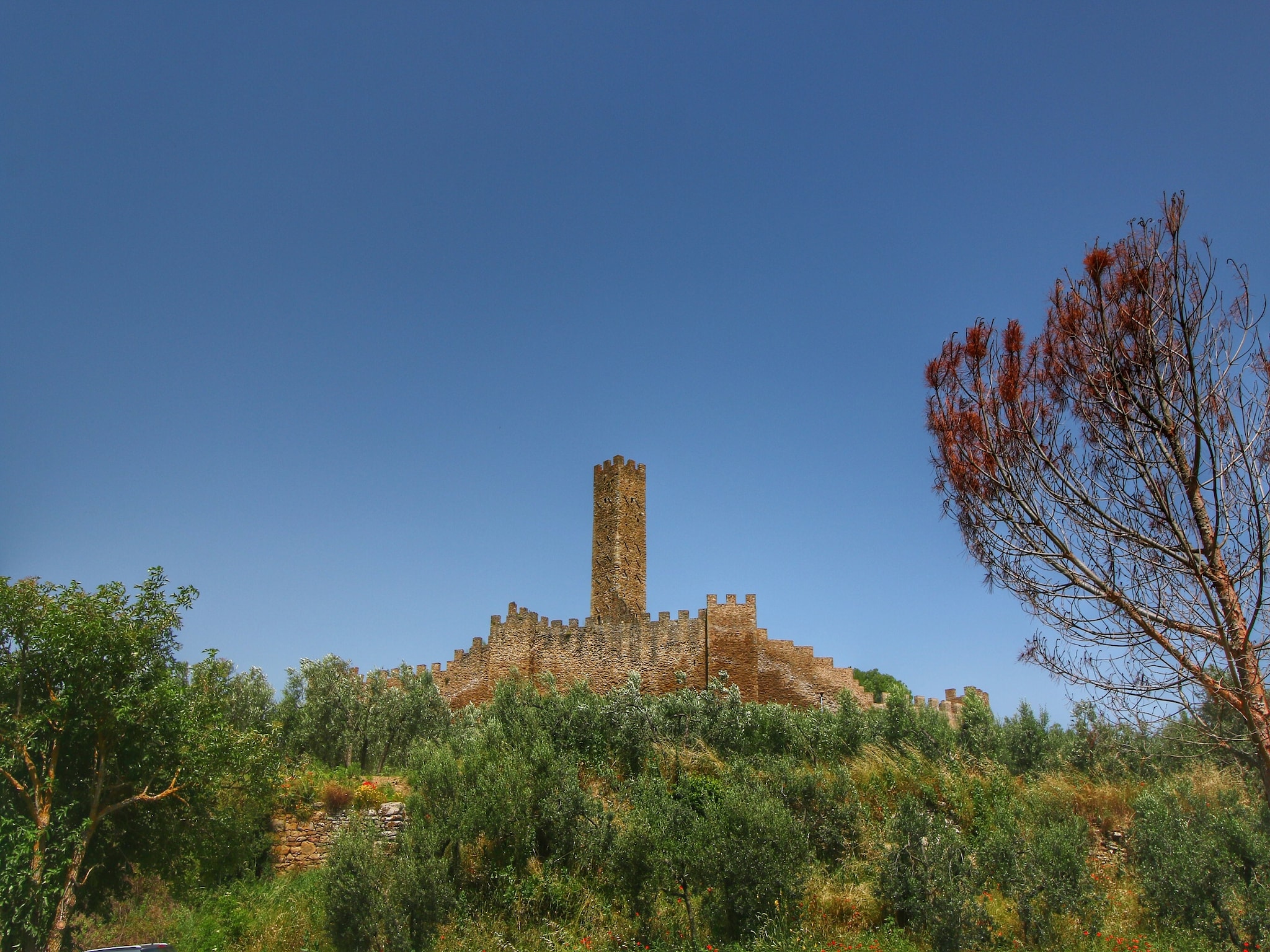 度假住宅 Montecchio