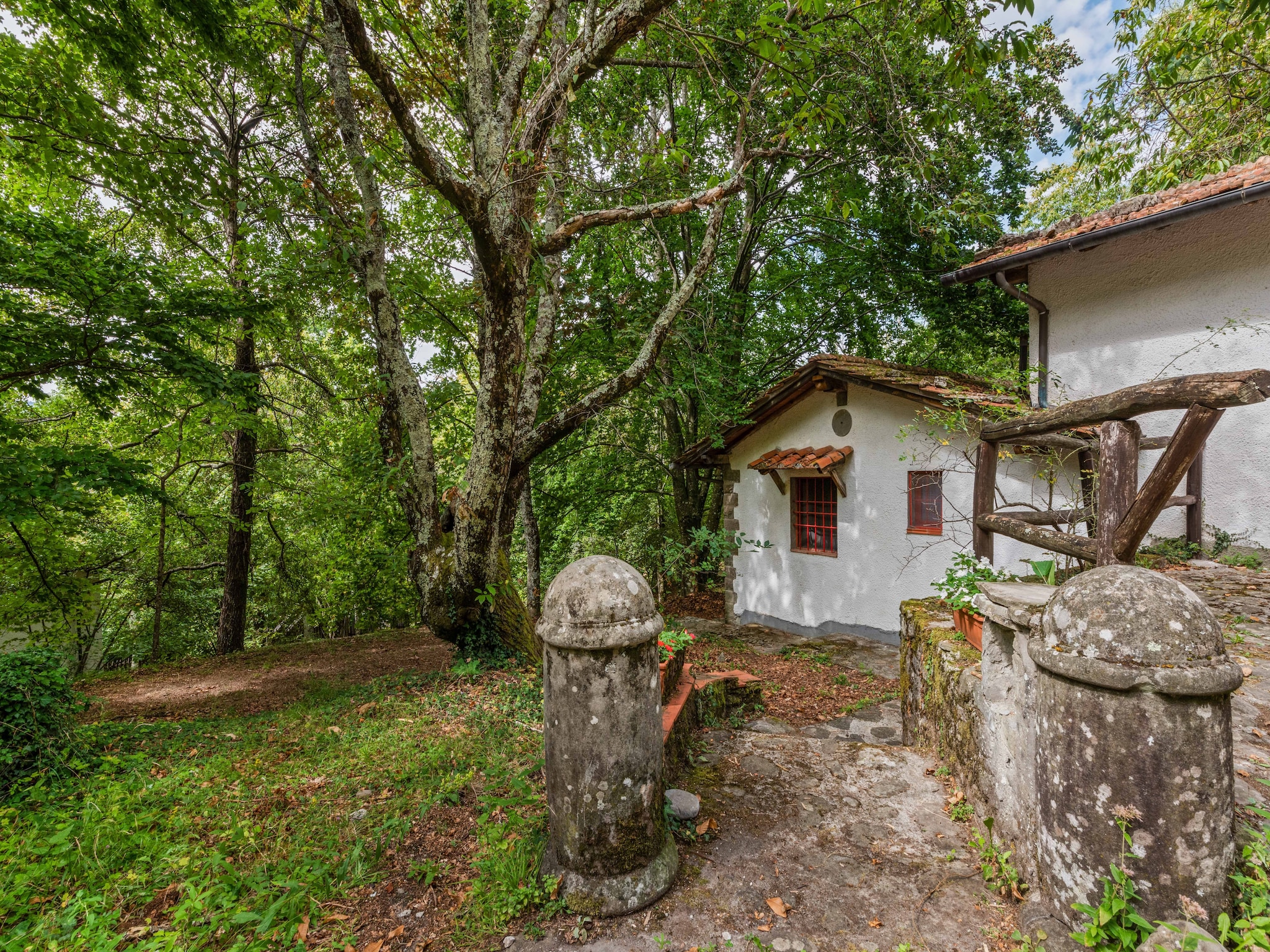   Loggetta