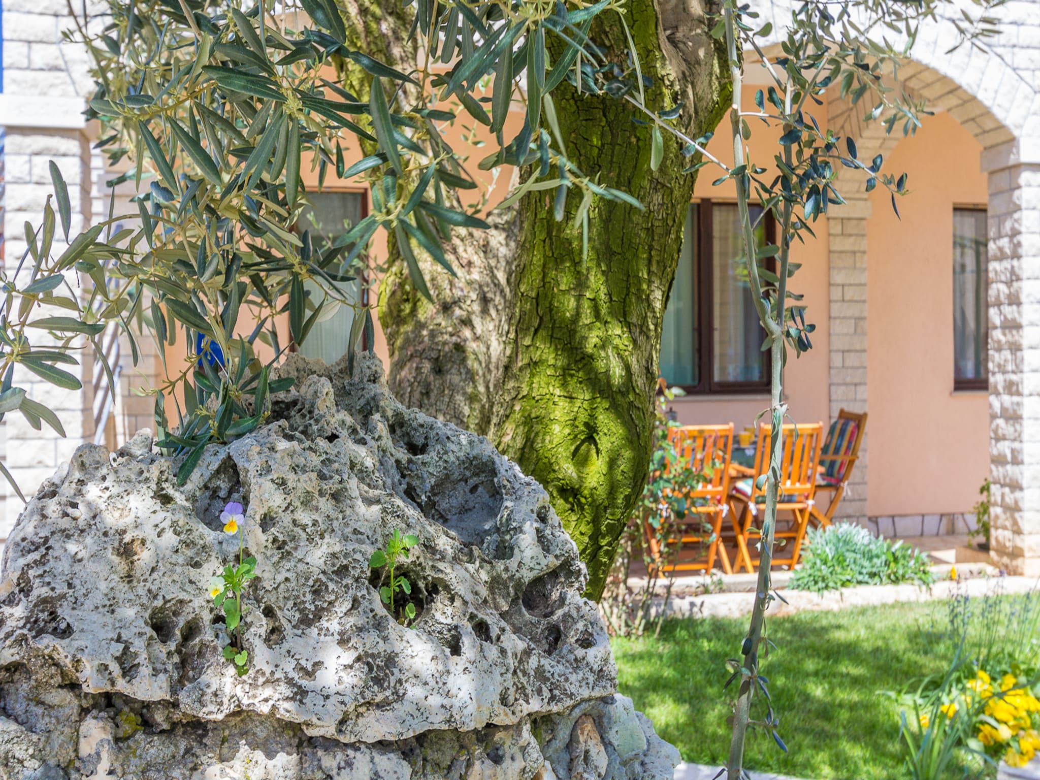 Apartment Ljuba
