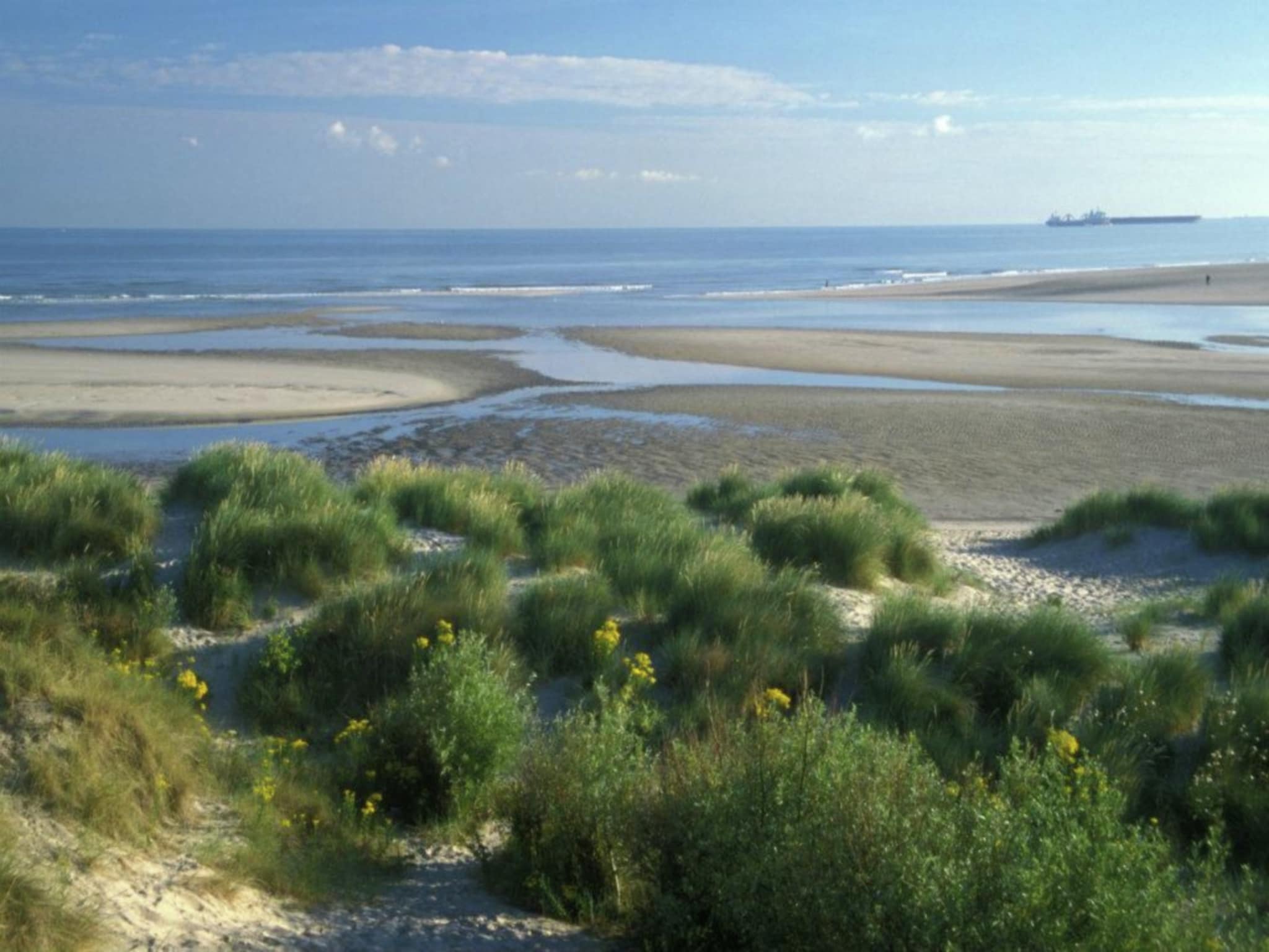 Ferienwohnung Etoile de Mer 1