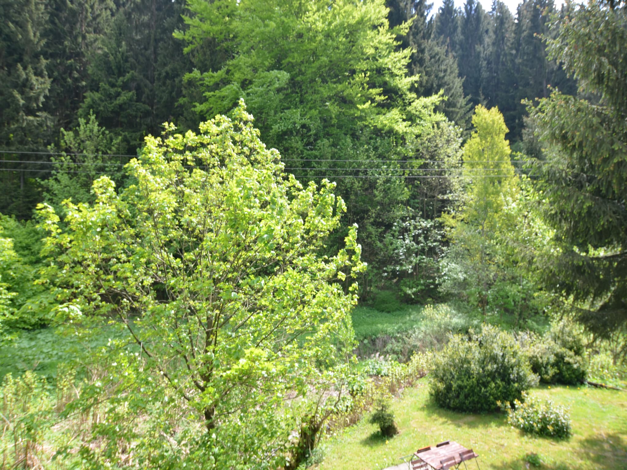 Ferienwohnung Waldblick