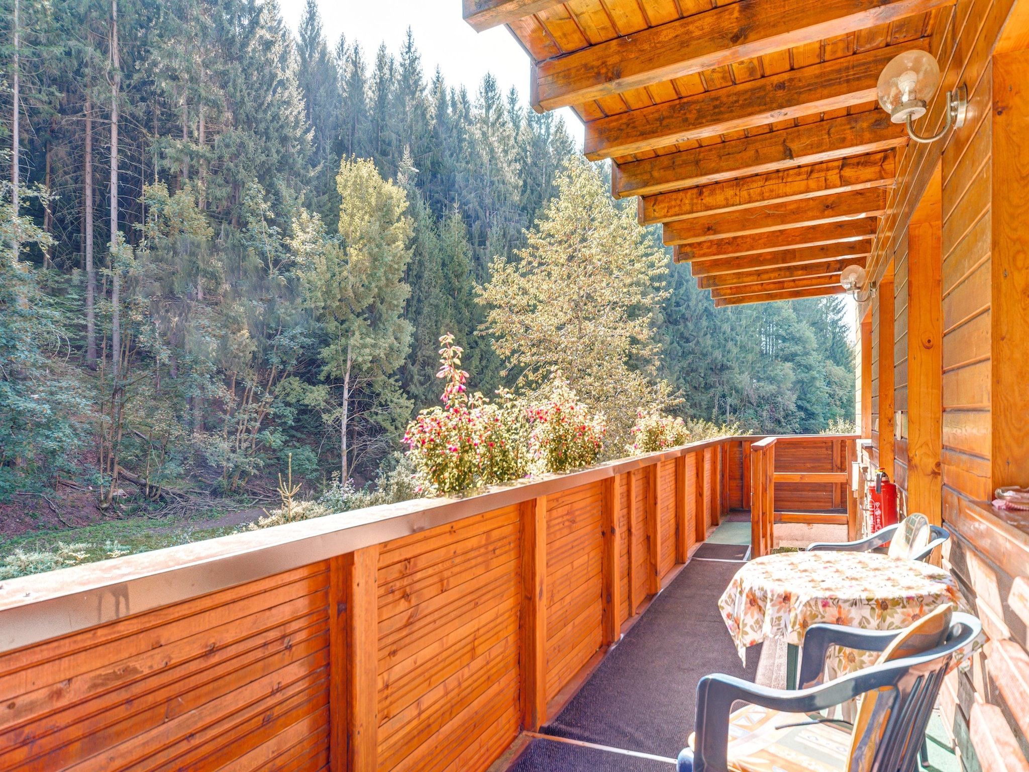 Ferienwohnung Waldblick