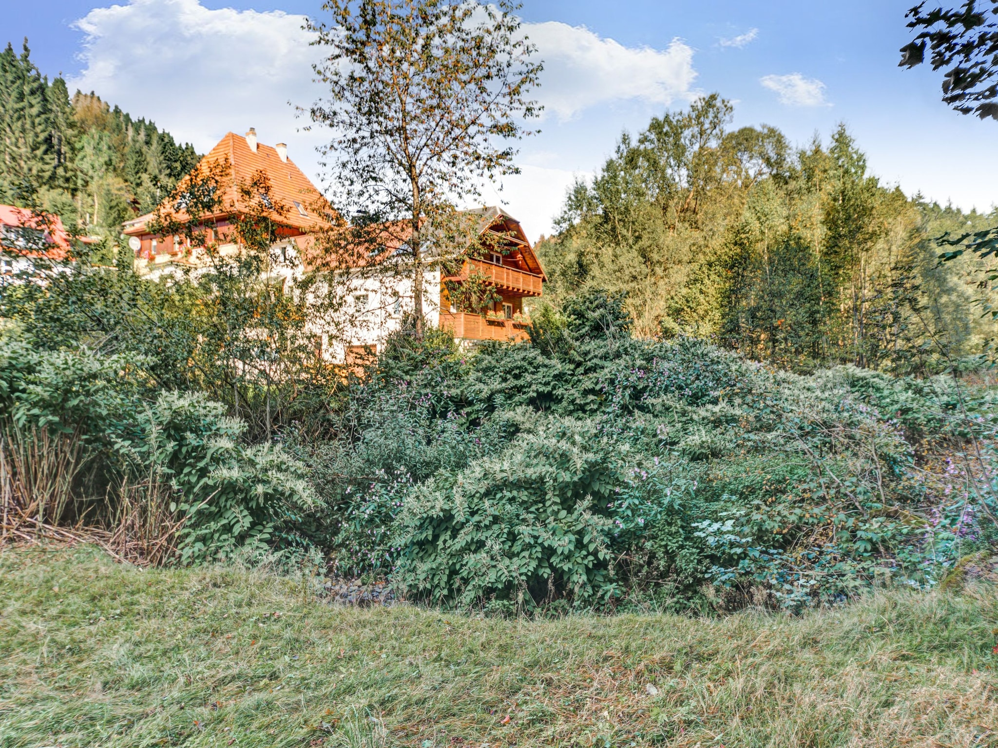 Ferienwohnung Waldblick