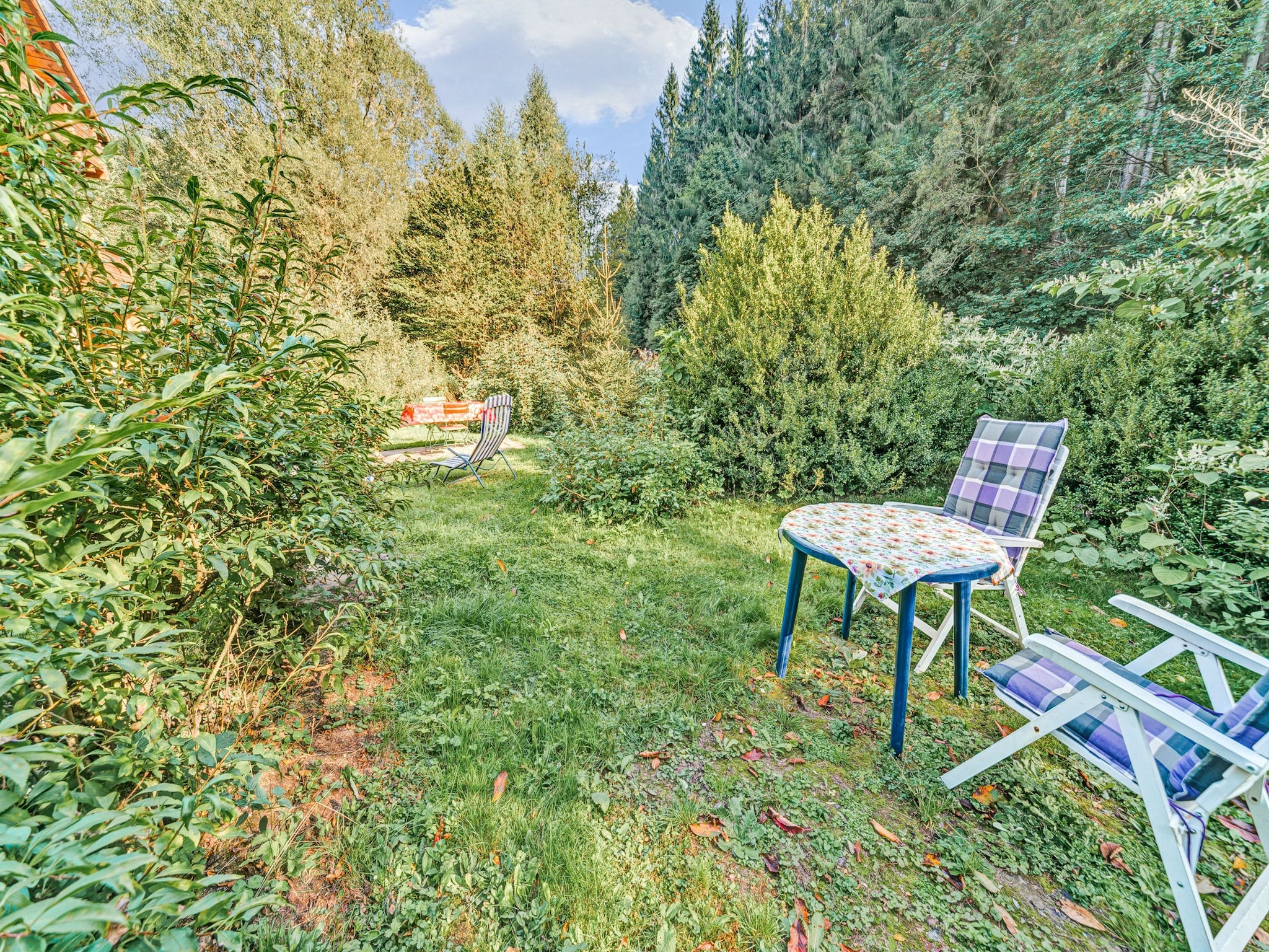Ferienwohnung Waldblick
