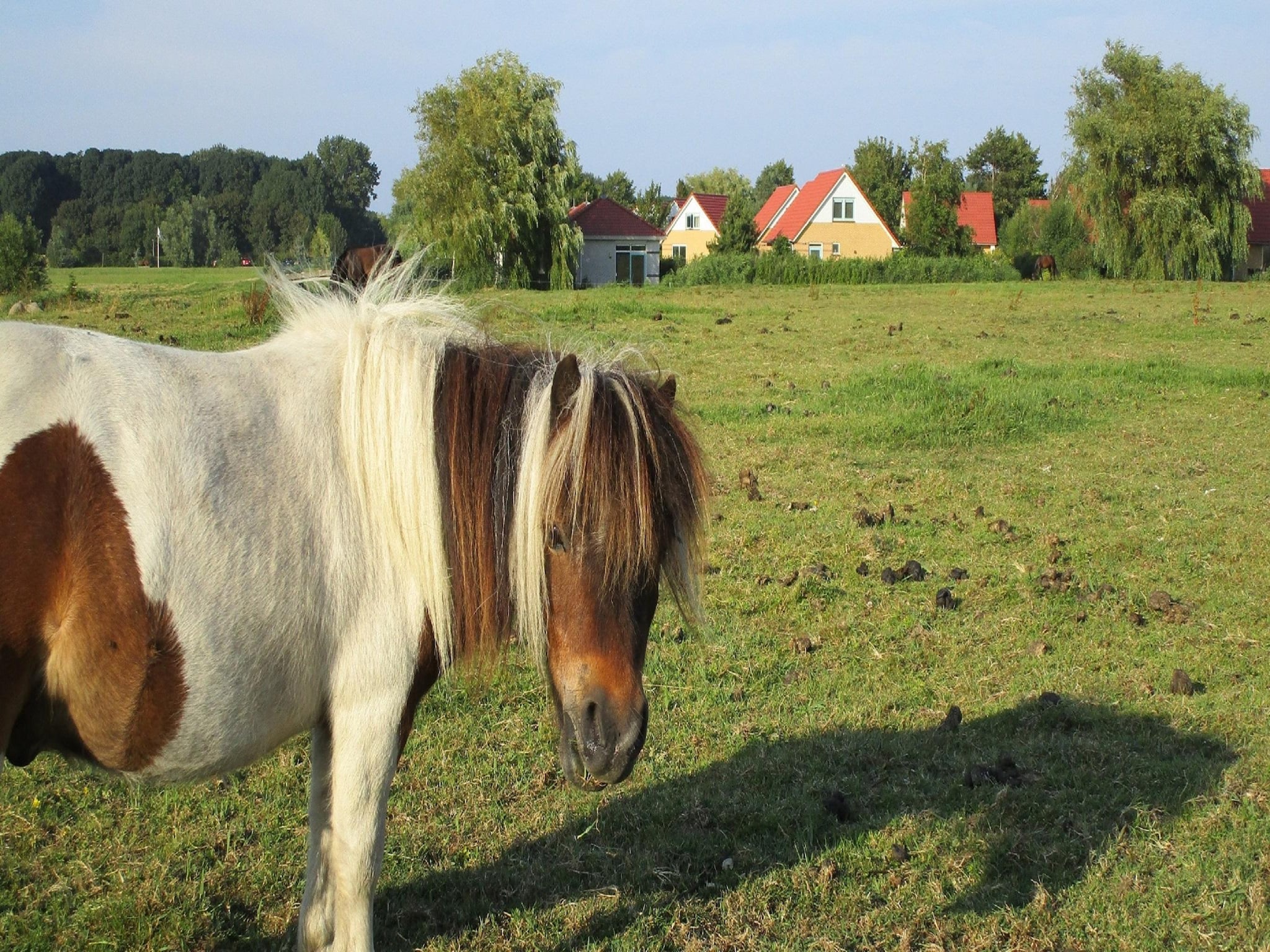   Villavakantiepark IJsselhof 1