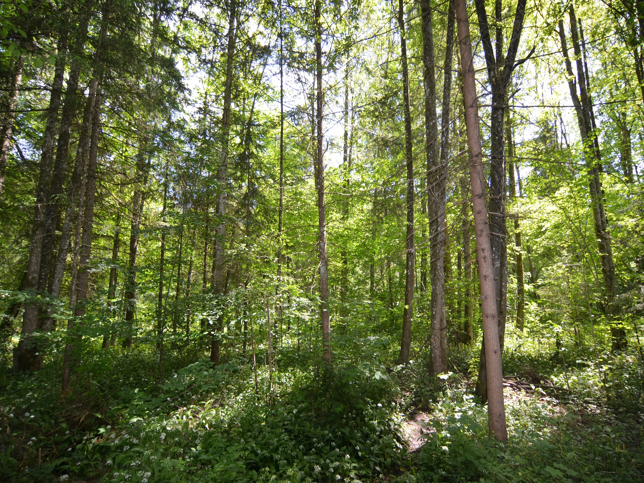 Appartement Im Berchtesgadener Land