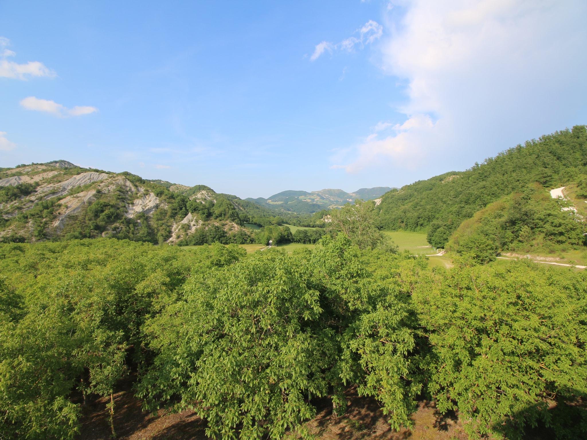 Casa di vacanze Casa Ginepro