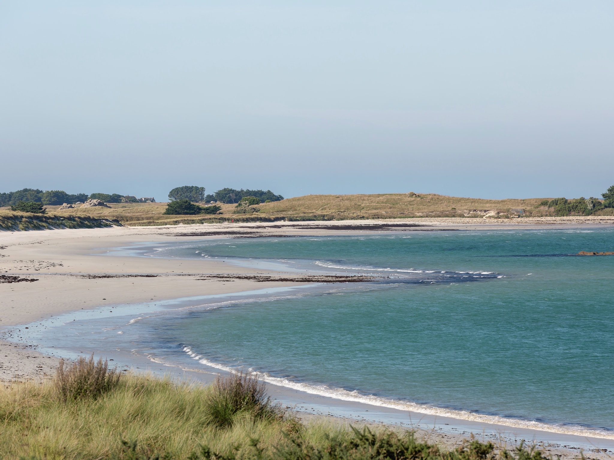   L'Estuaire