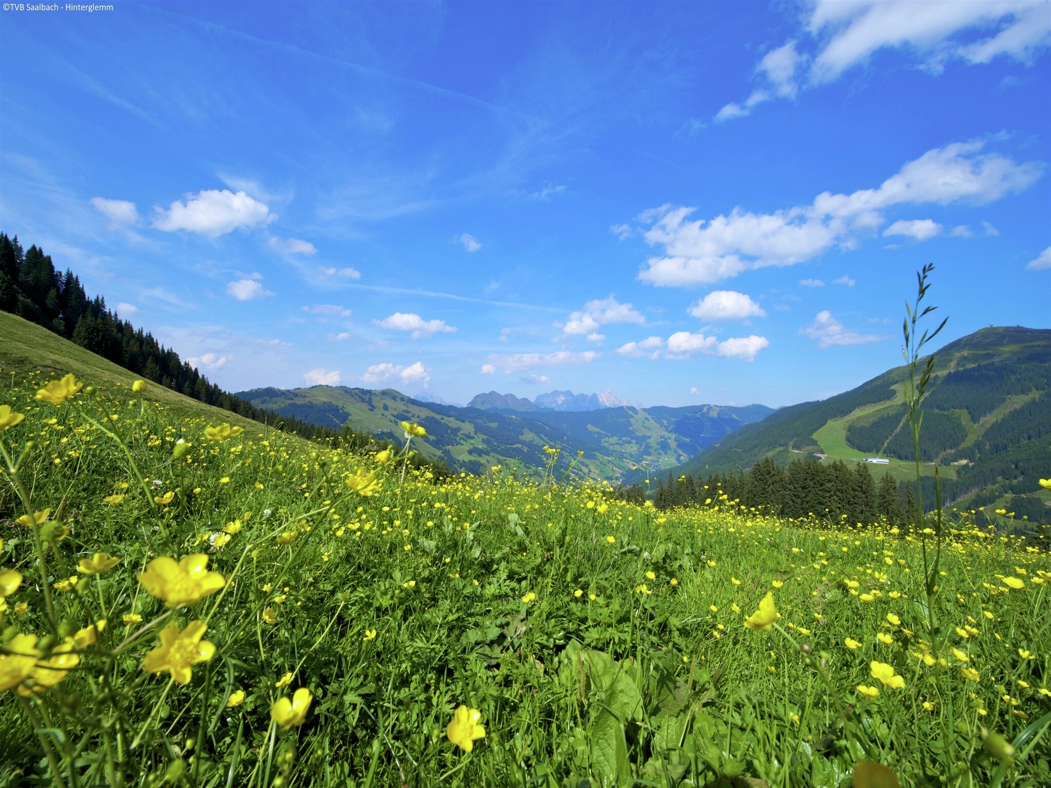 Maison Chalet Susanna S