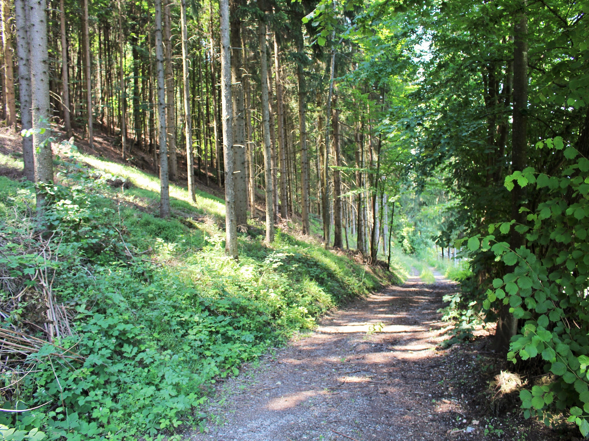Leilighet Biohof Claudia