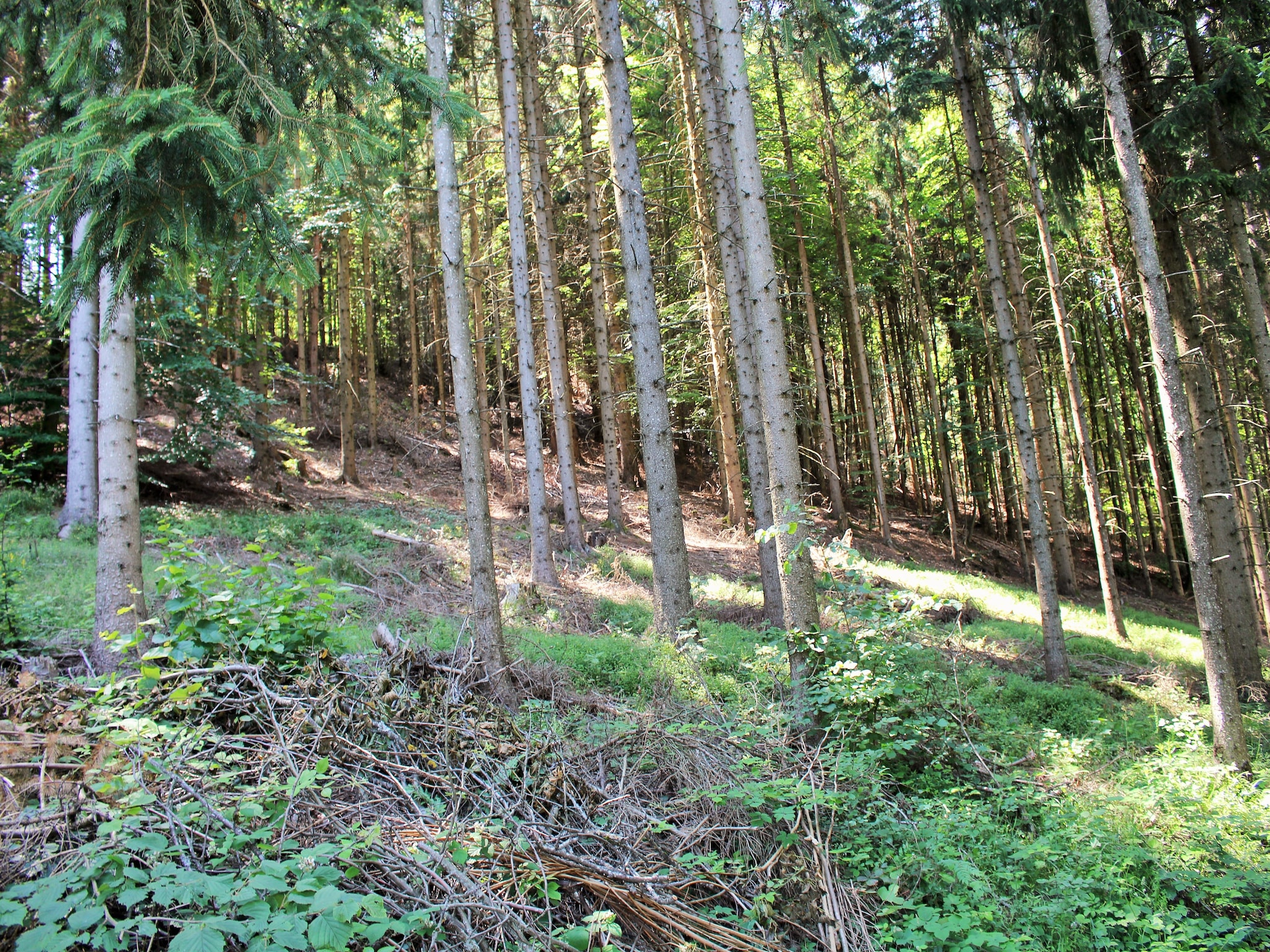 Leilighet Biohof Claudia