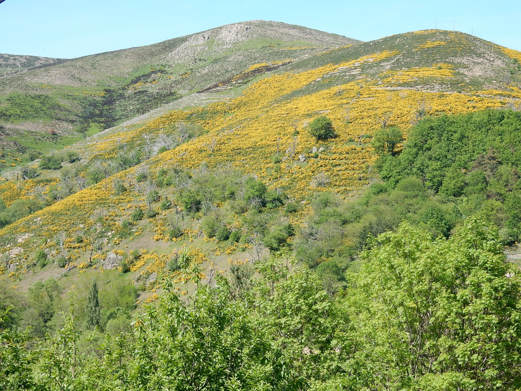   Maison de Vacances  - St Julien de Gua