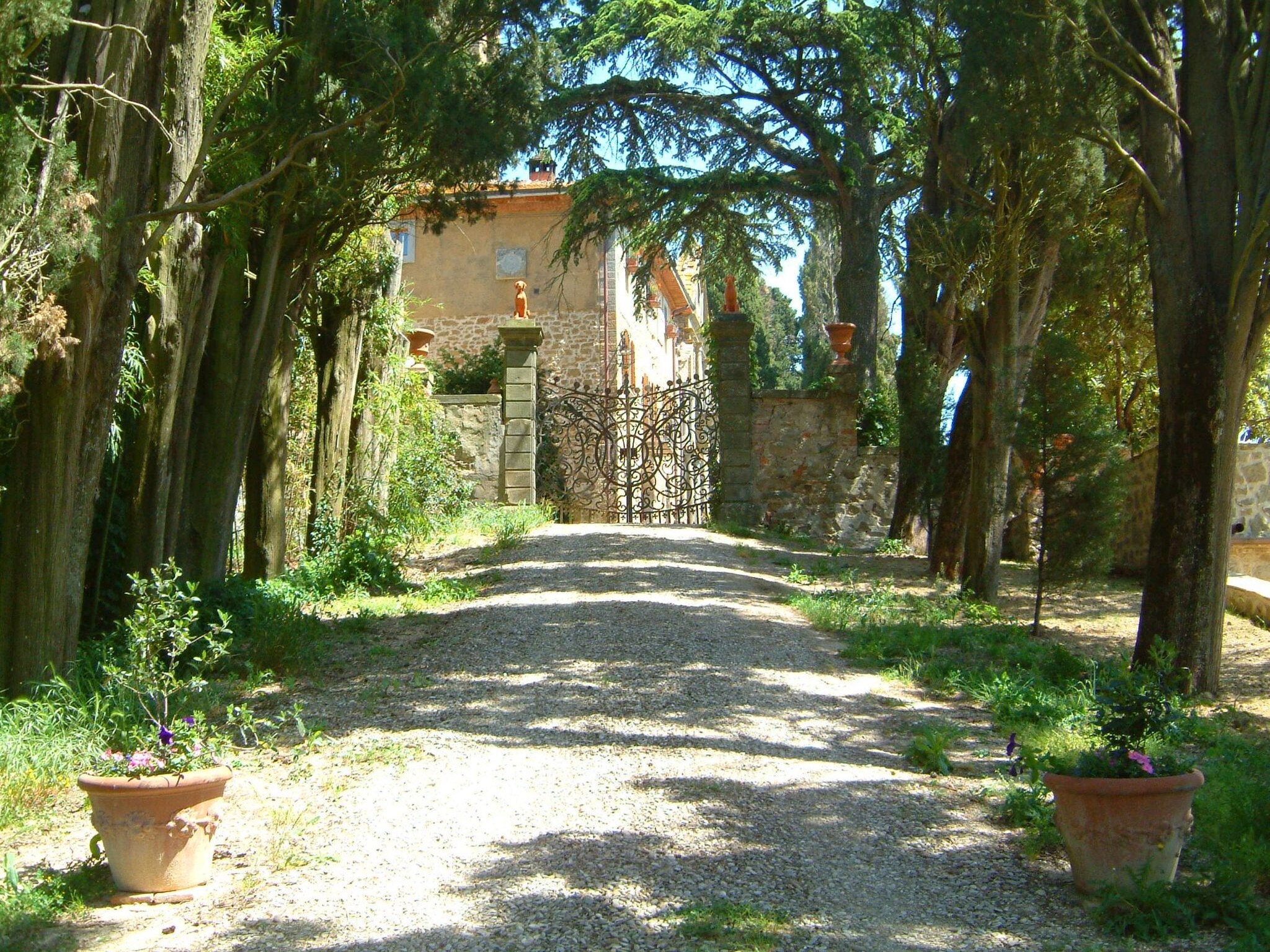   il Castello del Cardinale