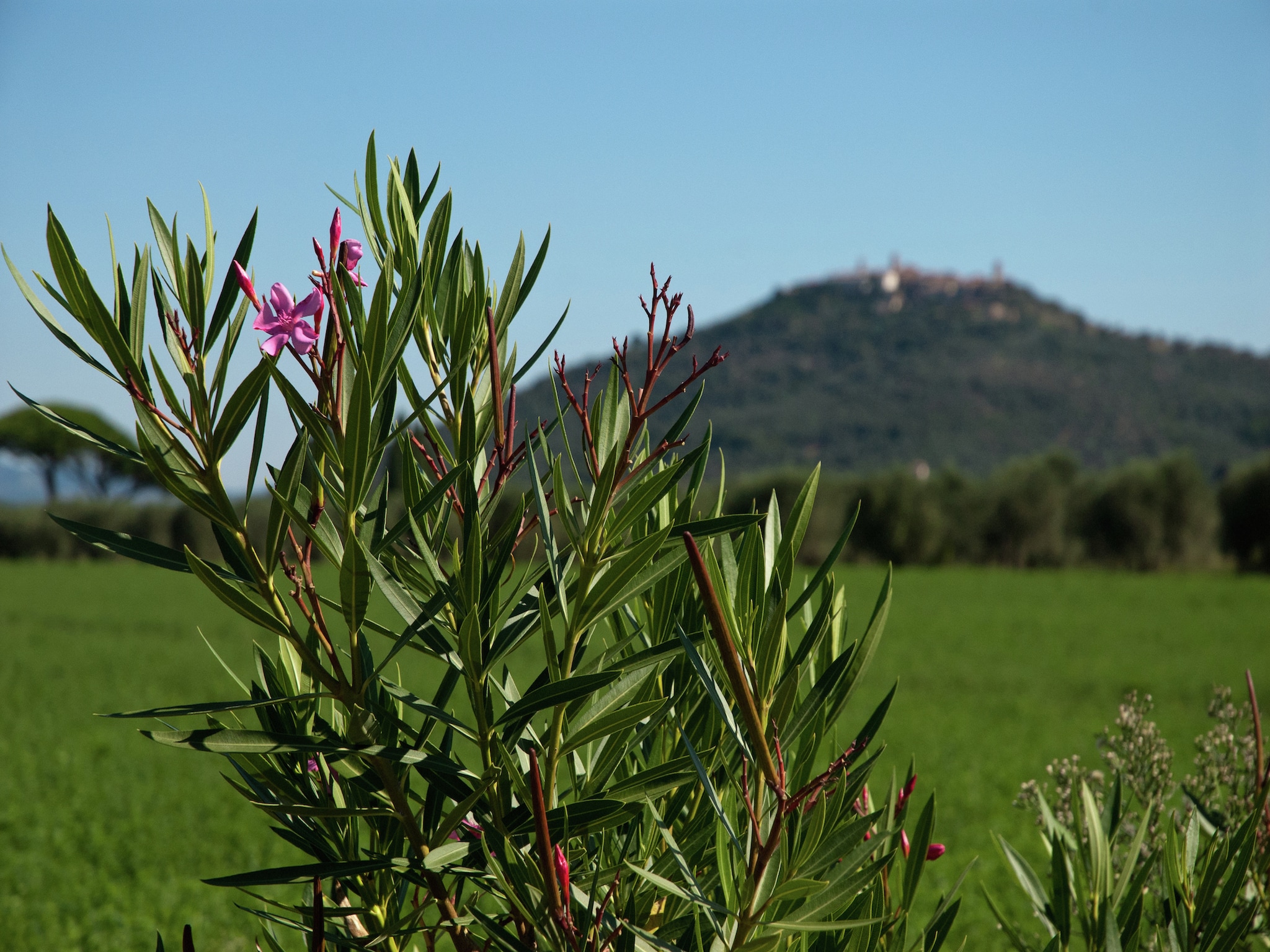   Bozzone Residenza Rossa