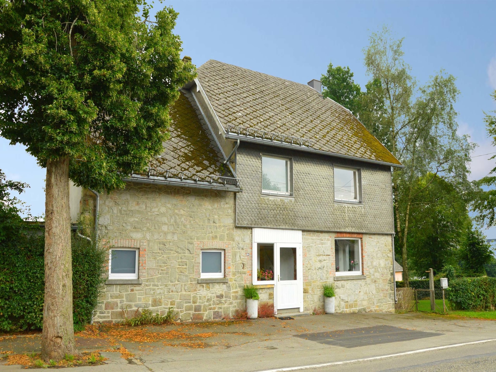   Canneberge