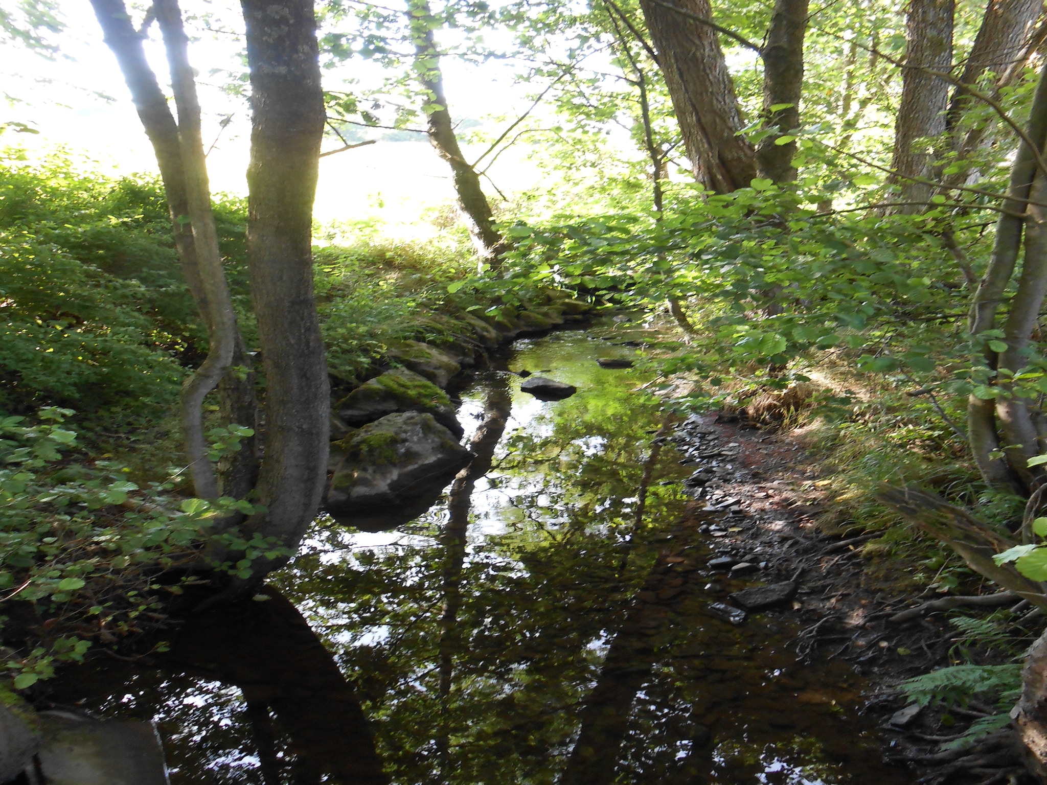 Lejlighed Im Sauerland
