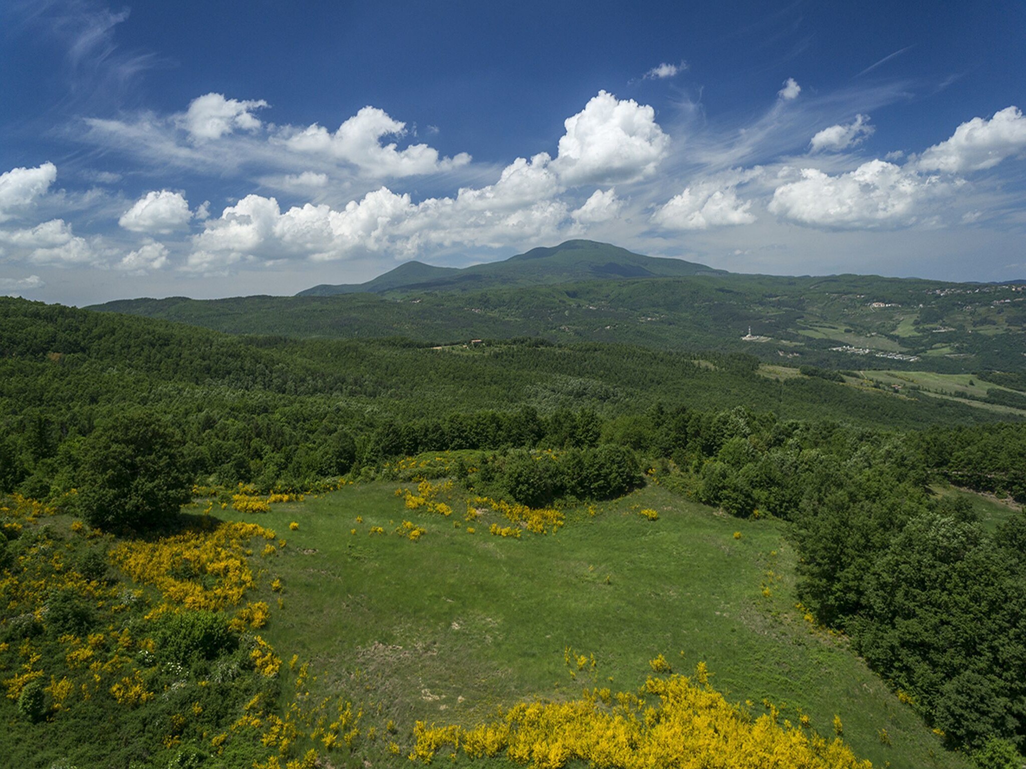   Roccone