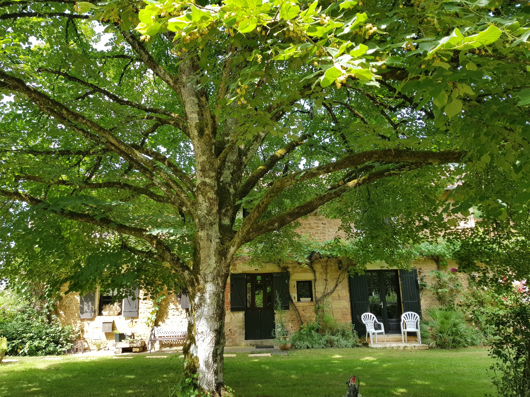   Les Raneaux 12P