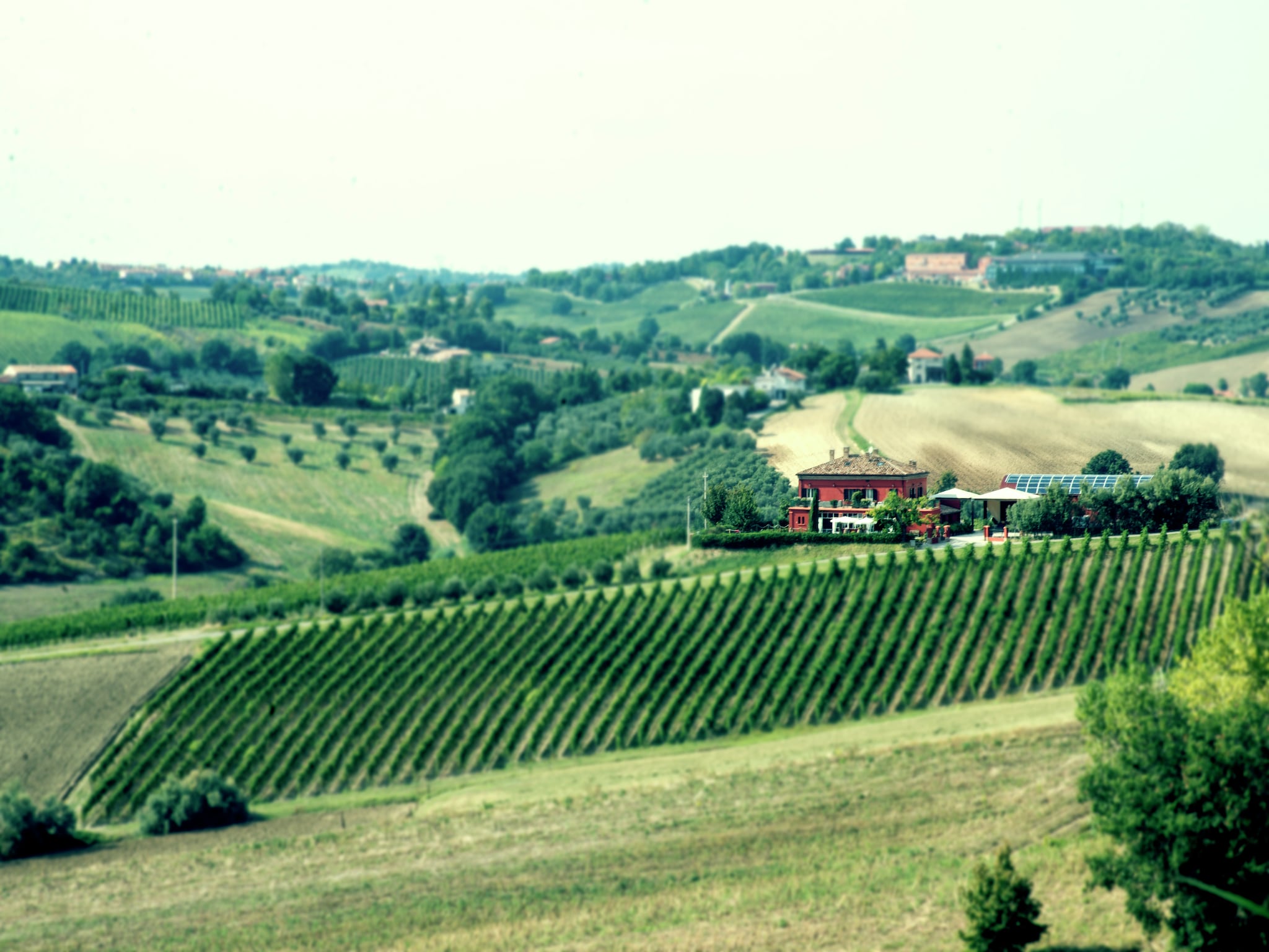 Appartamento Campo Quattro