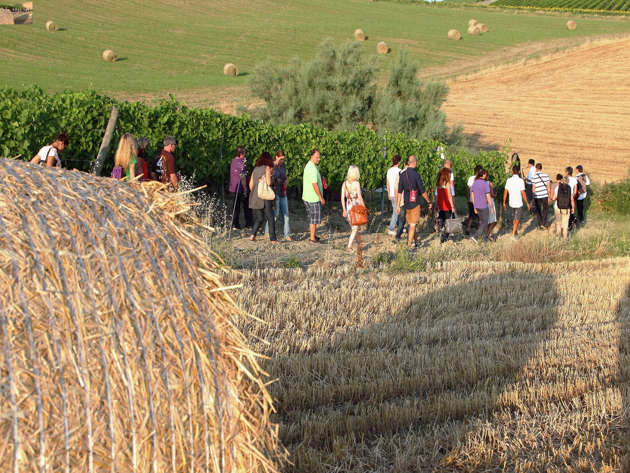 Appartamento Campo Quattro