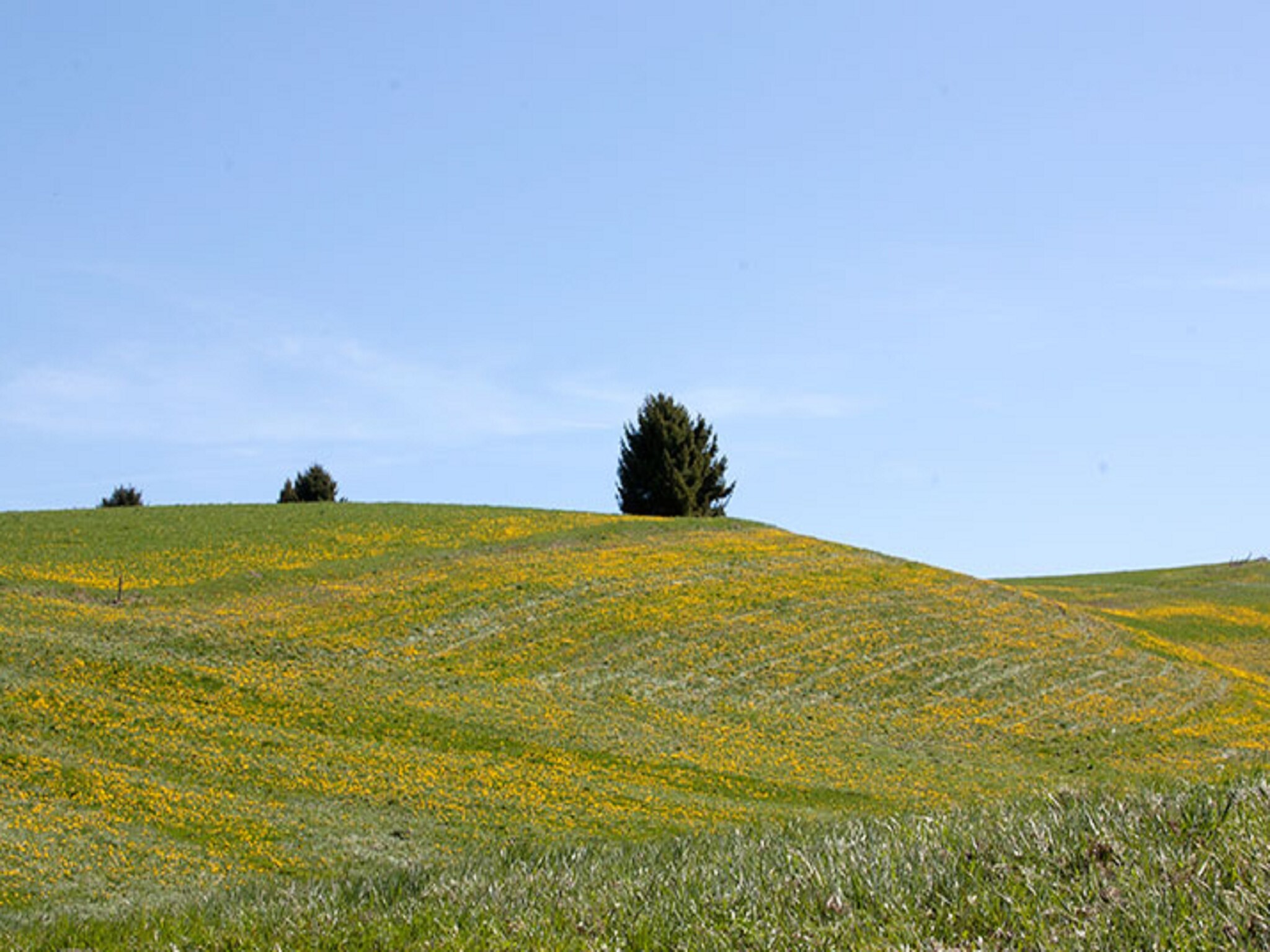   Villa Il Capriolo