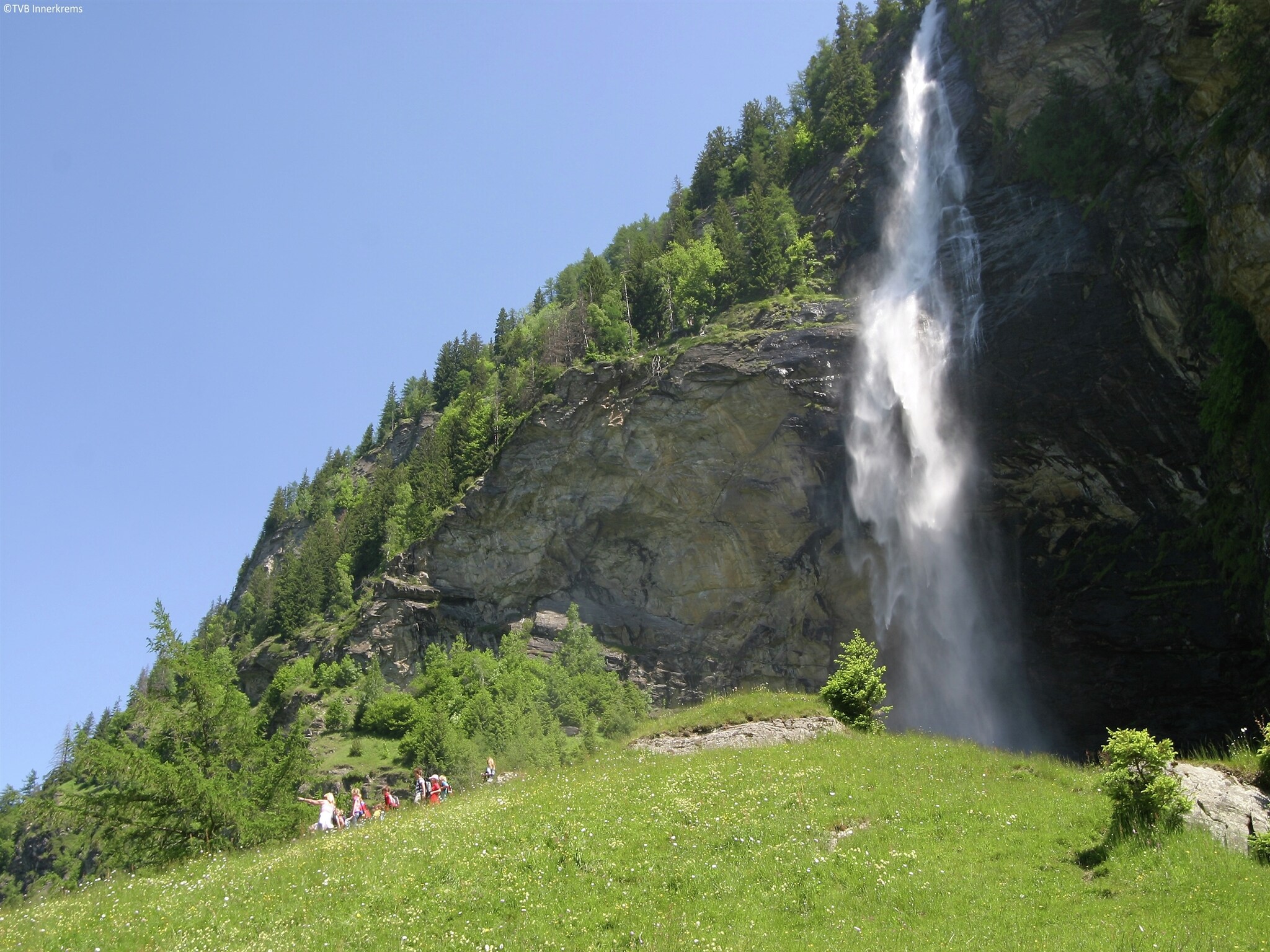   Reiter