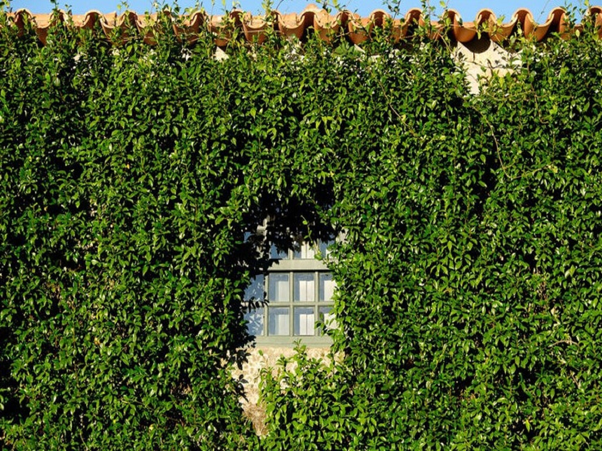 Ferienhaus Casa Alpendre