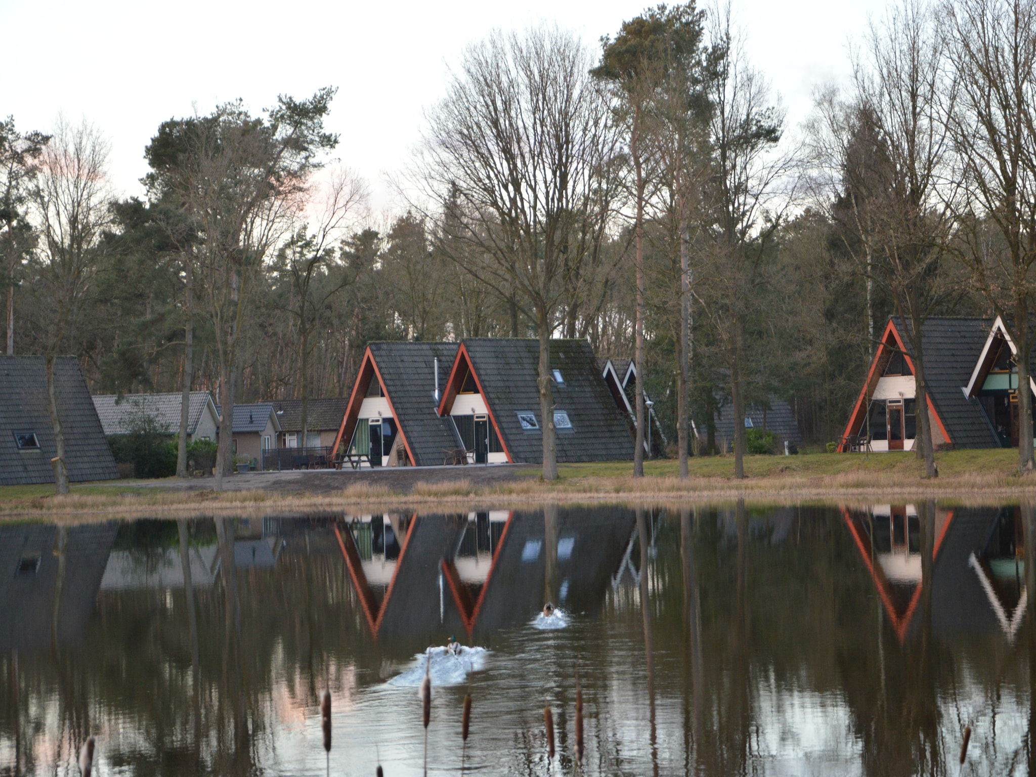  Bungalows 48 en 49