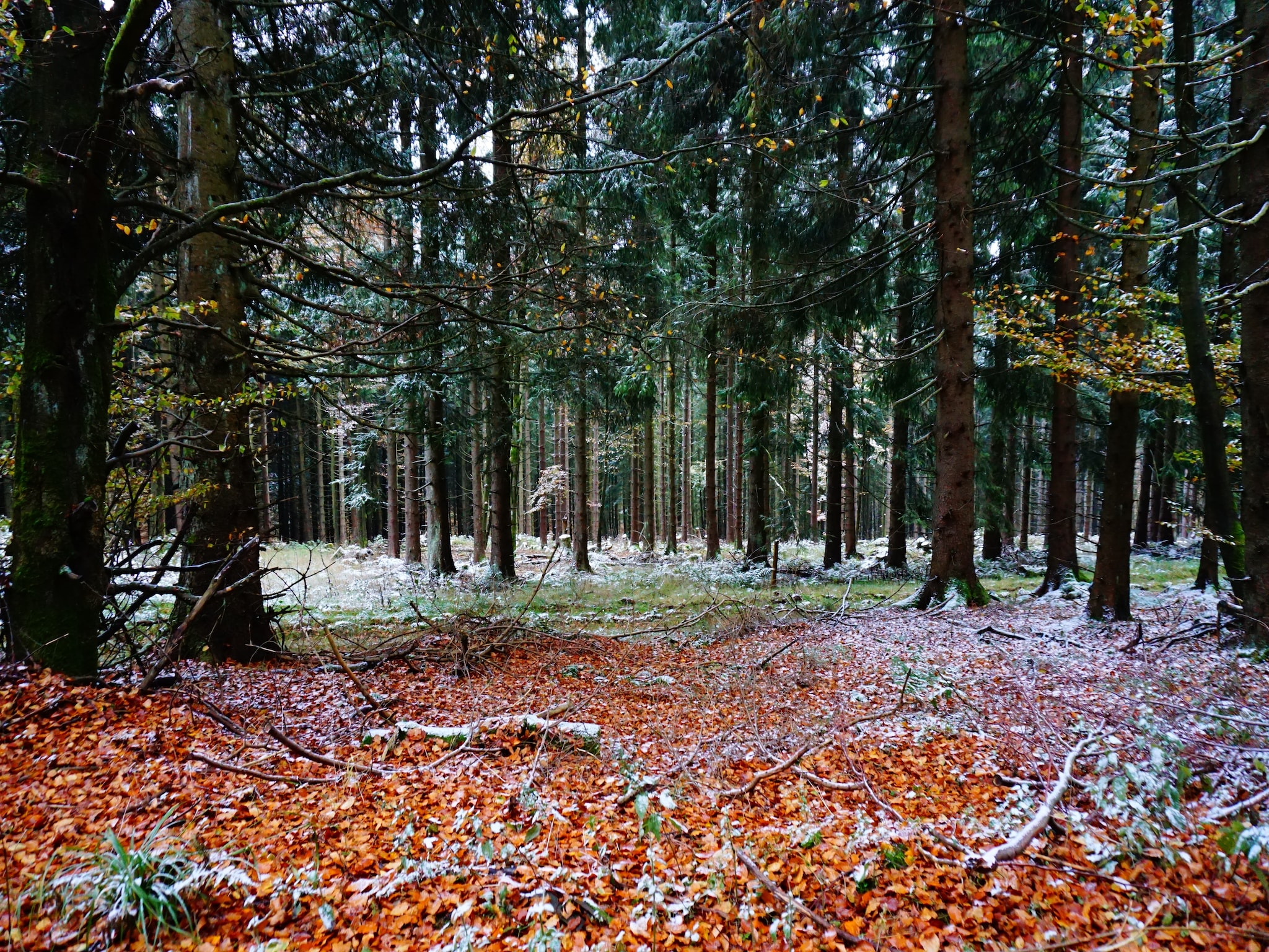   Landhaus Winterberg