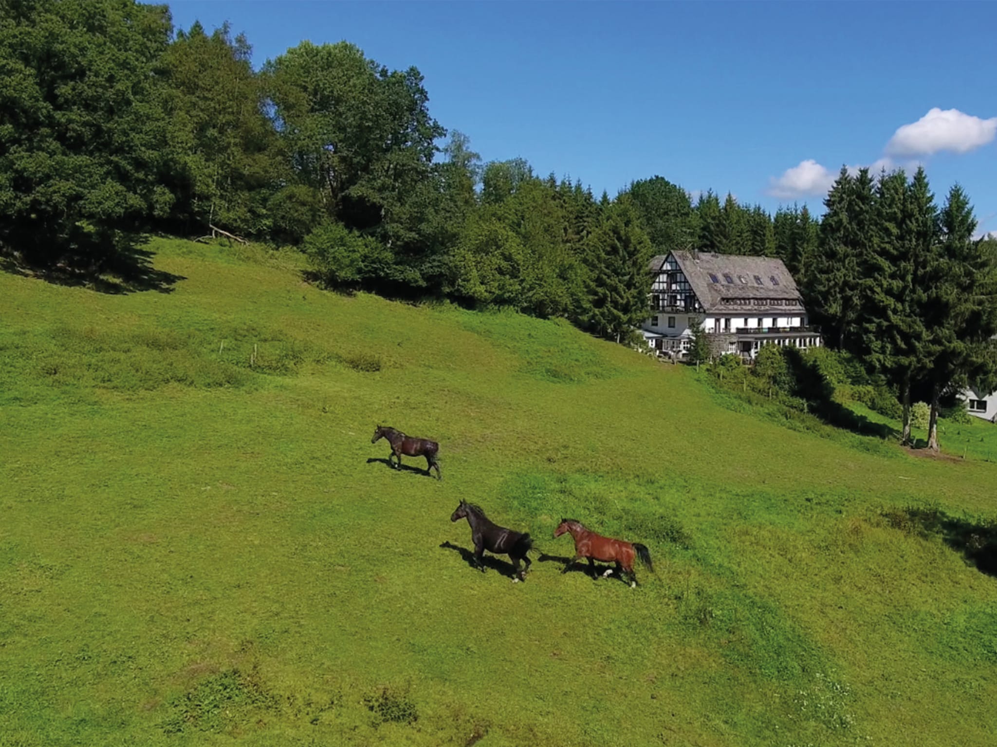   Landhaus Winterberg