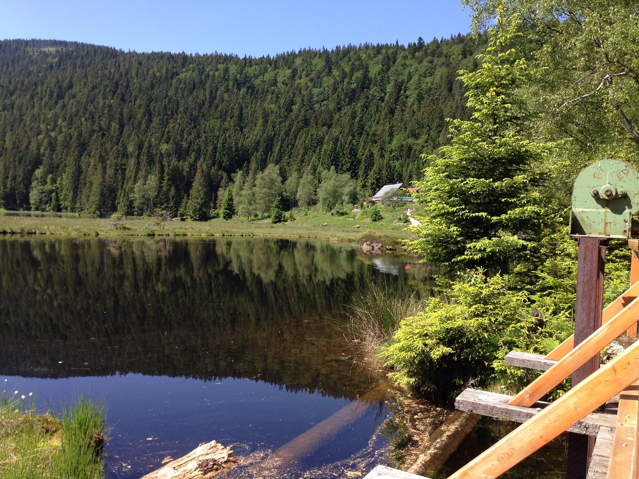   Bayerischer Wald