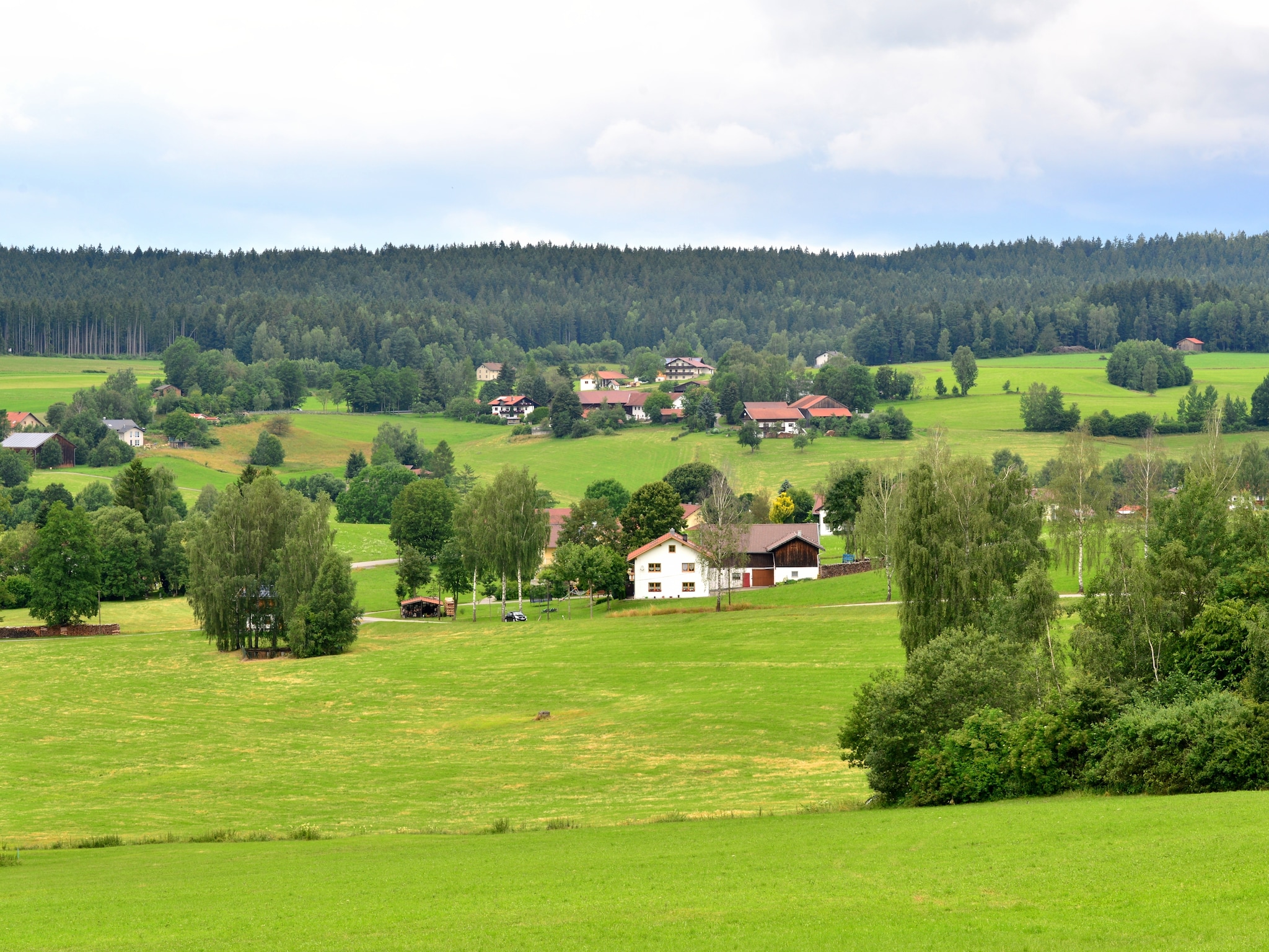   Bayerischer Wald