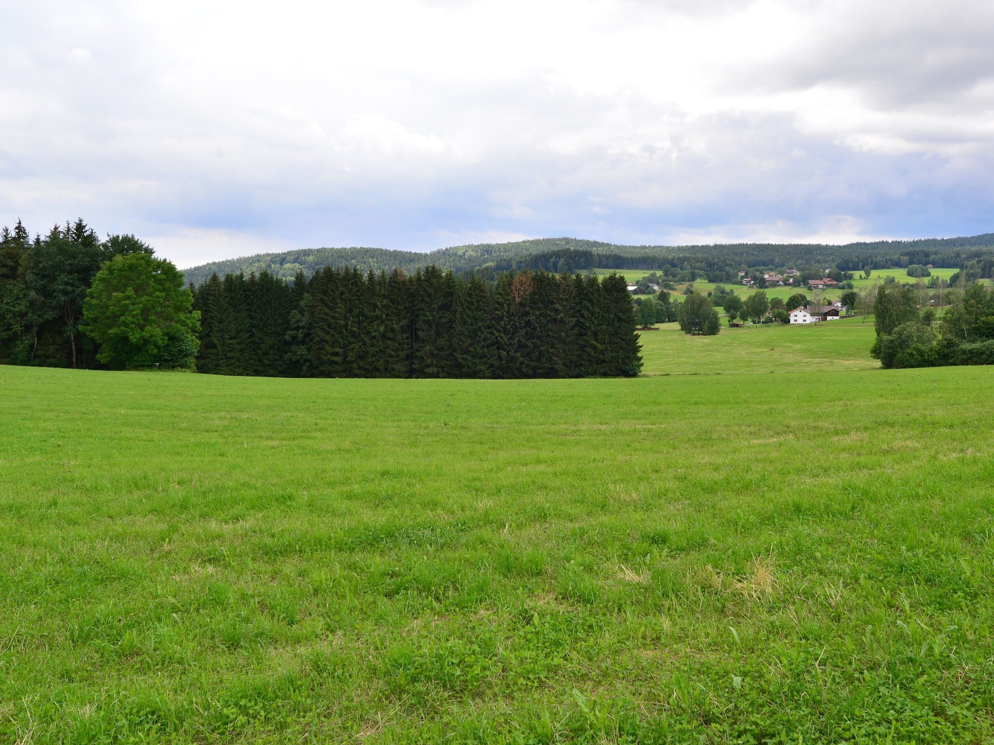   Bayerischer Wald