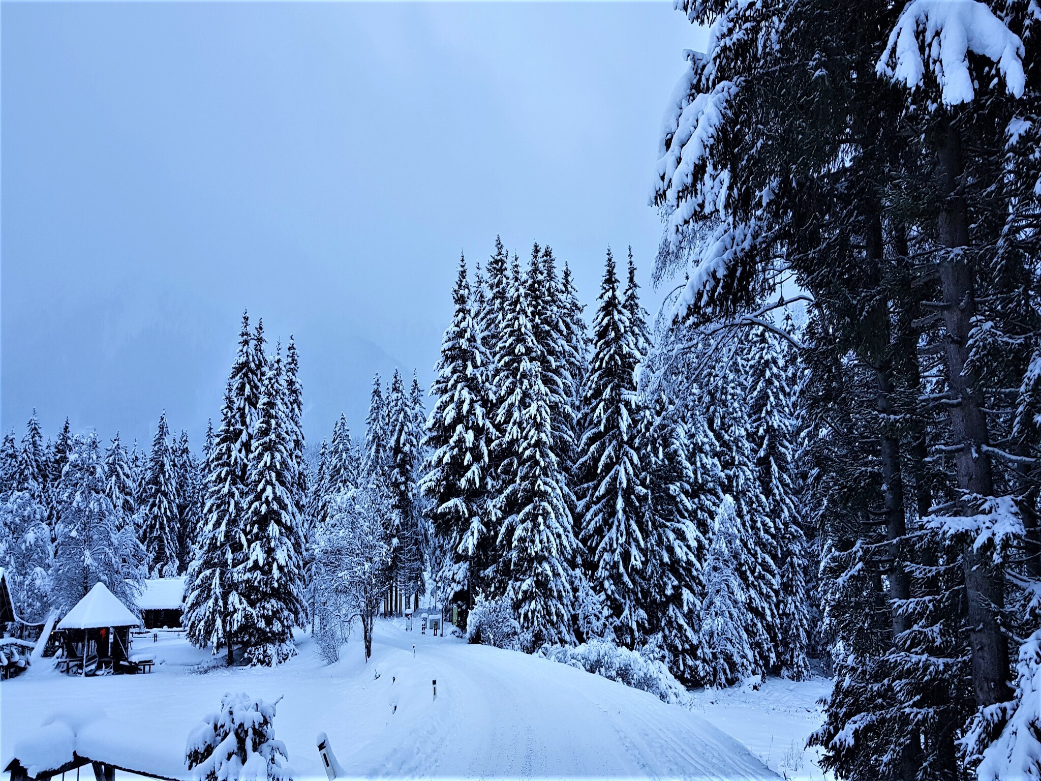 Vakantiehuis Chalet Bärenschanze