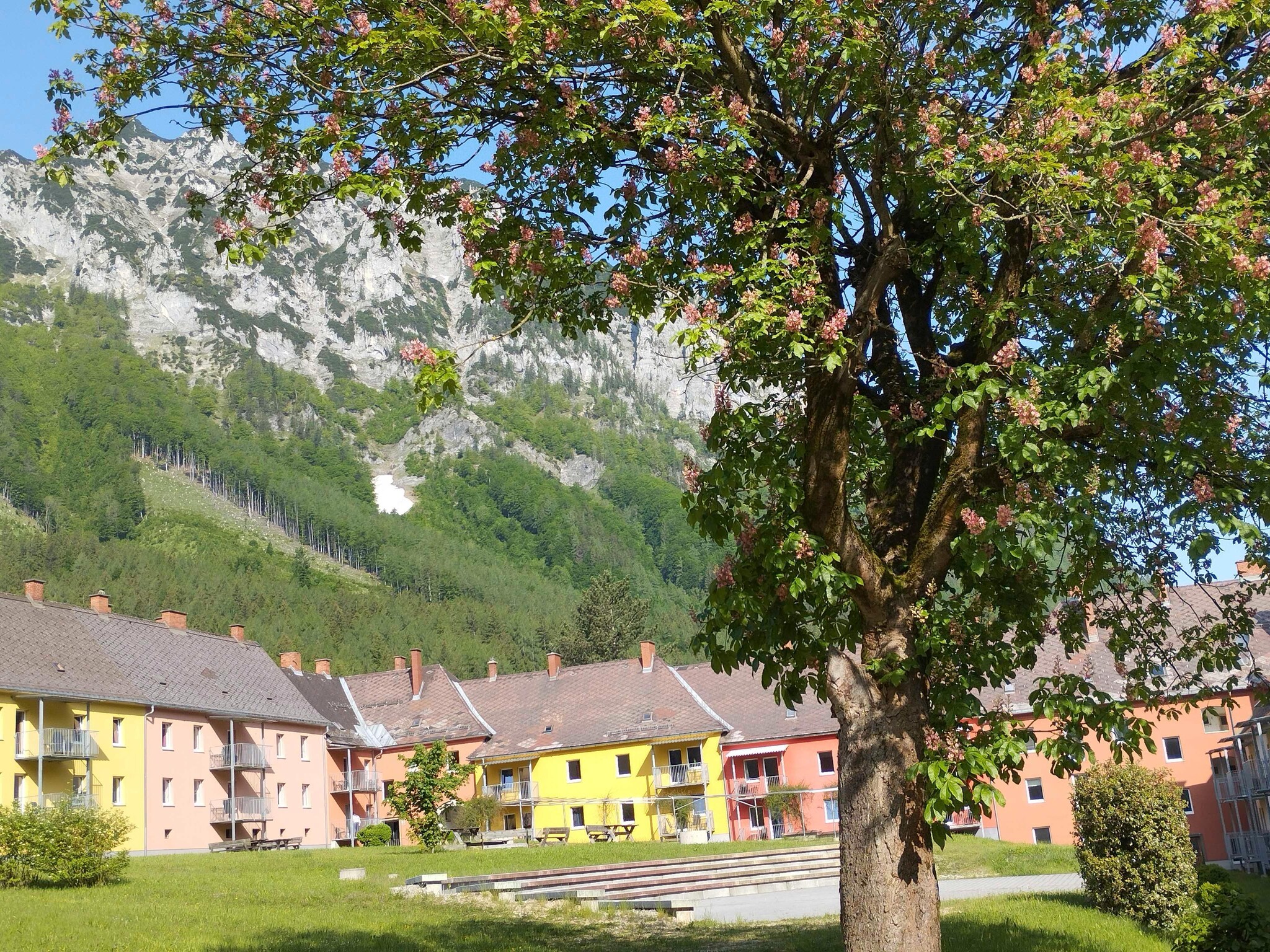 Appartement Erzberg Alpin Resort  14