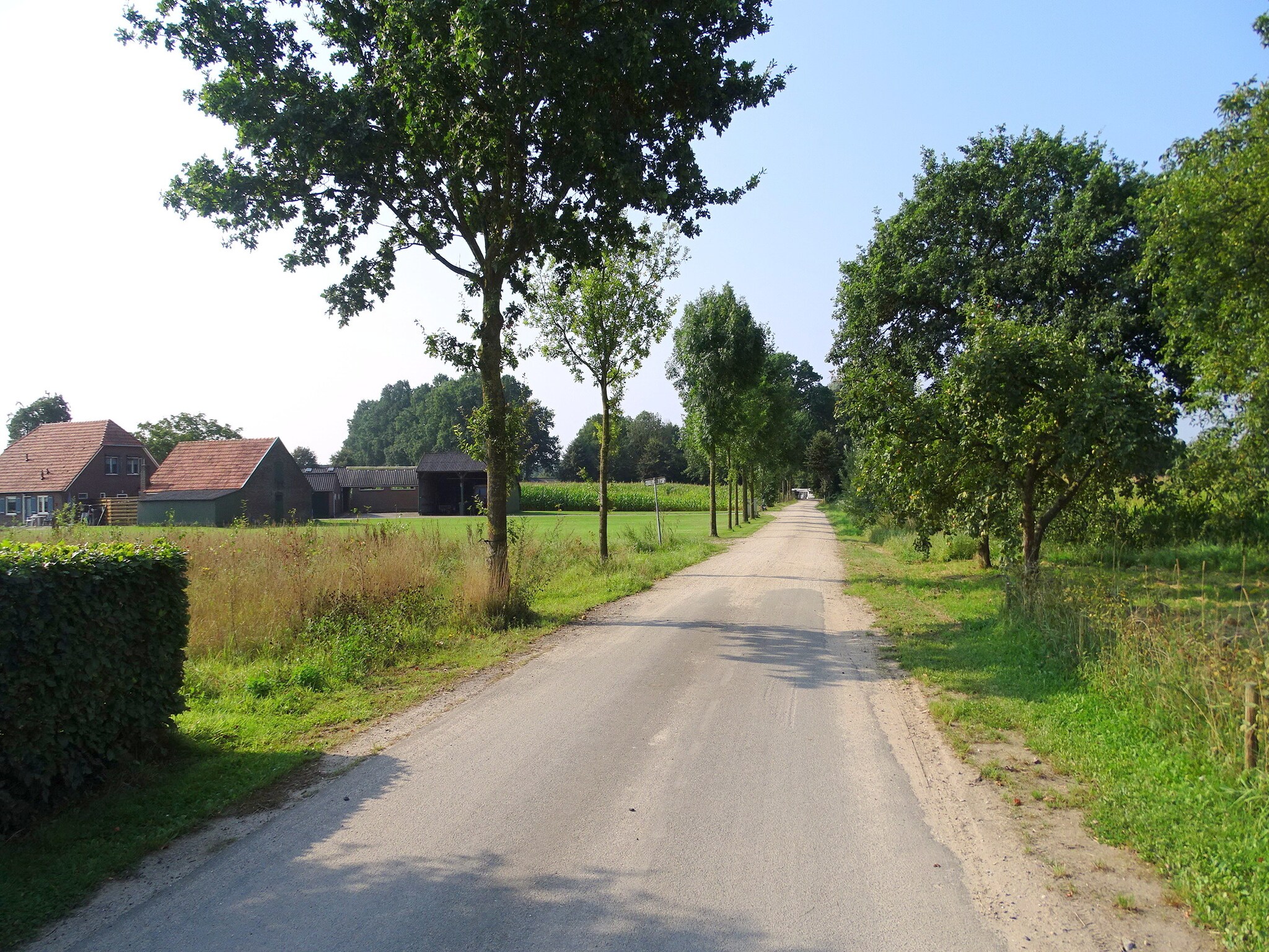   Meistershofken
