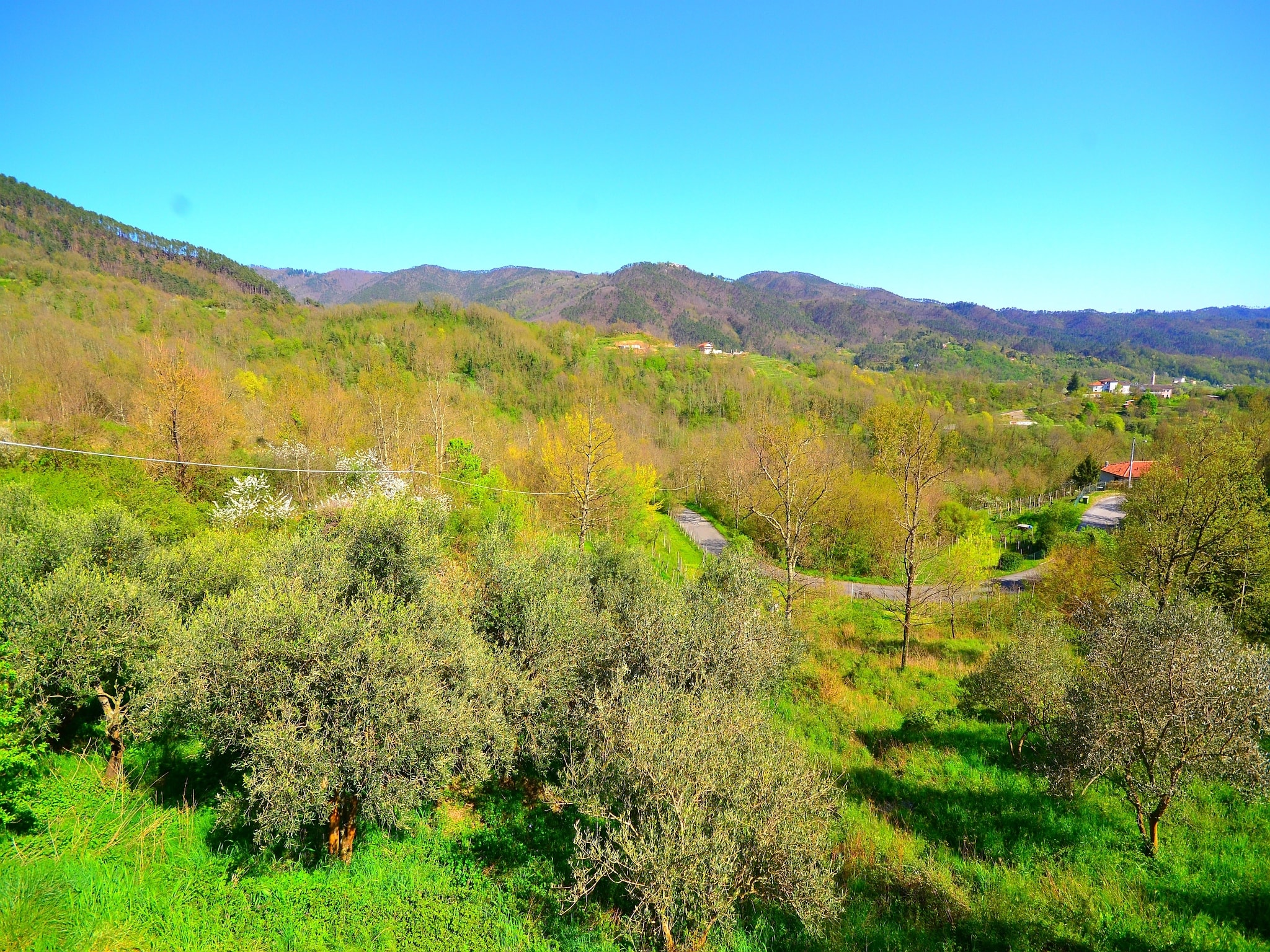   La Crocetta