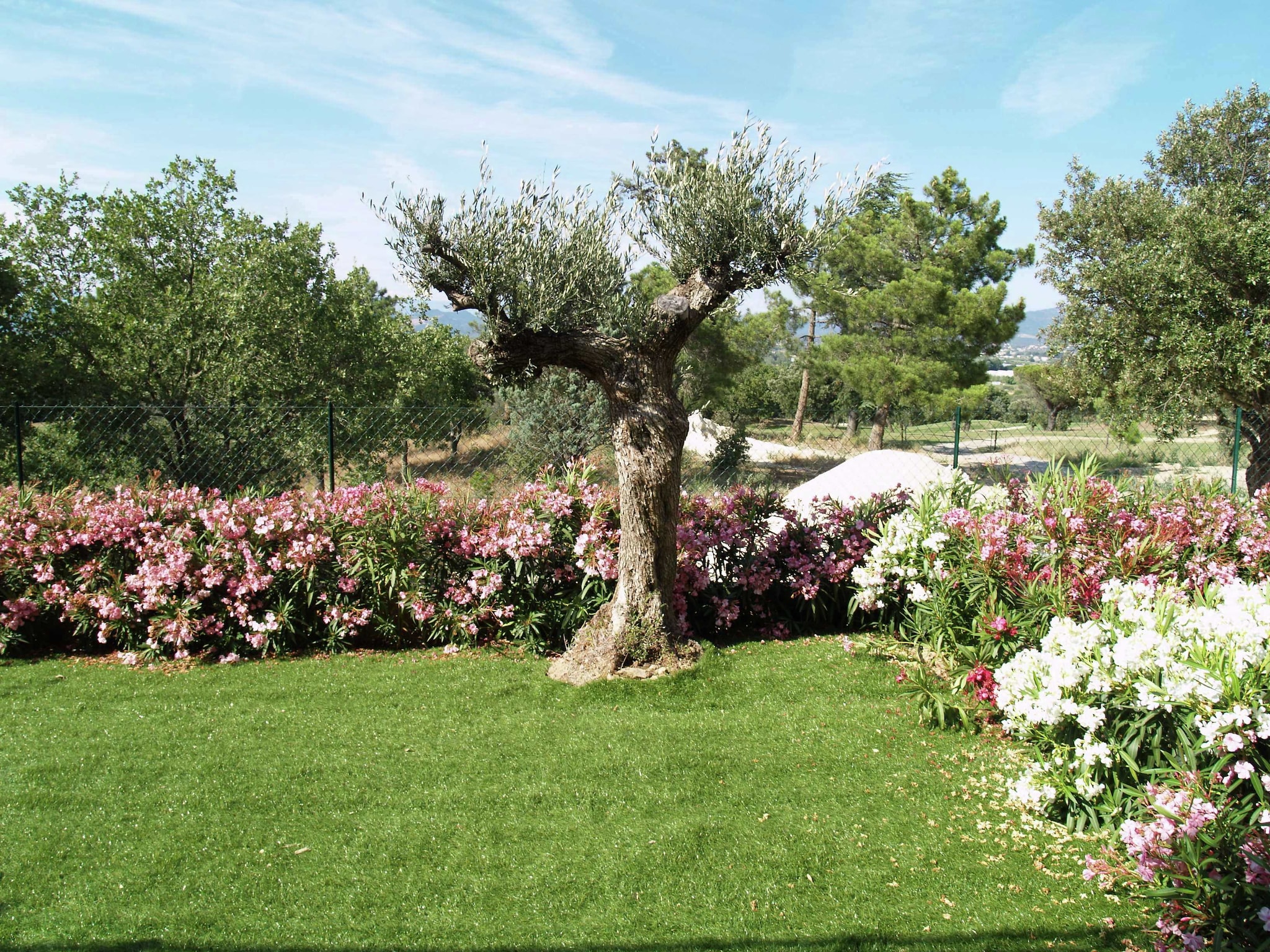 Ferienhaus Le Green Bastide 1