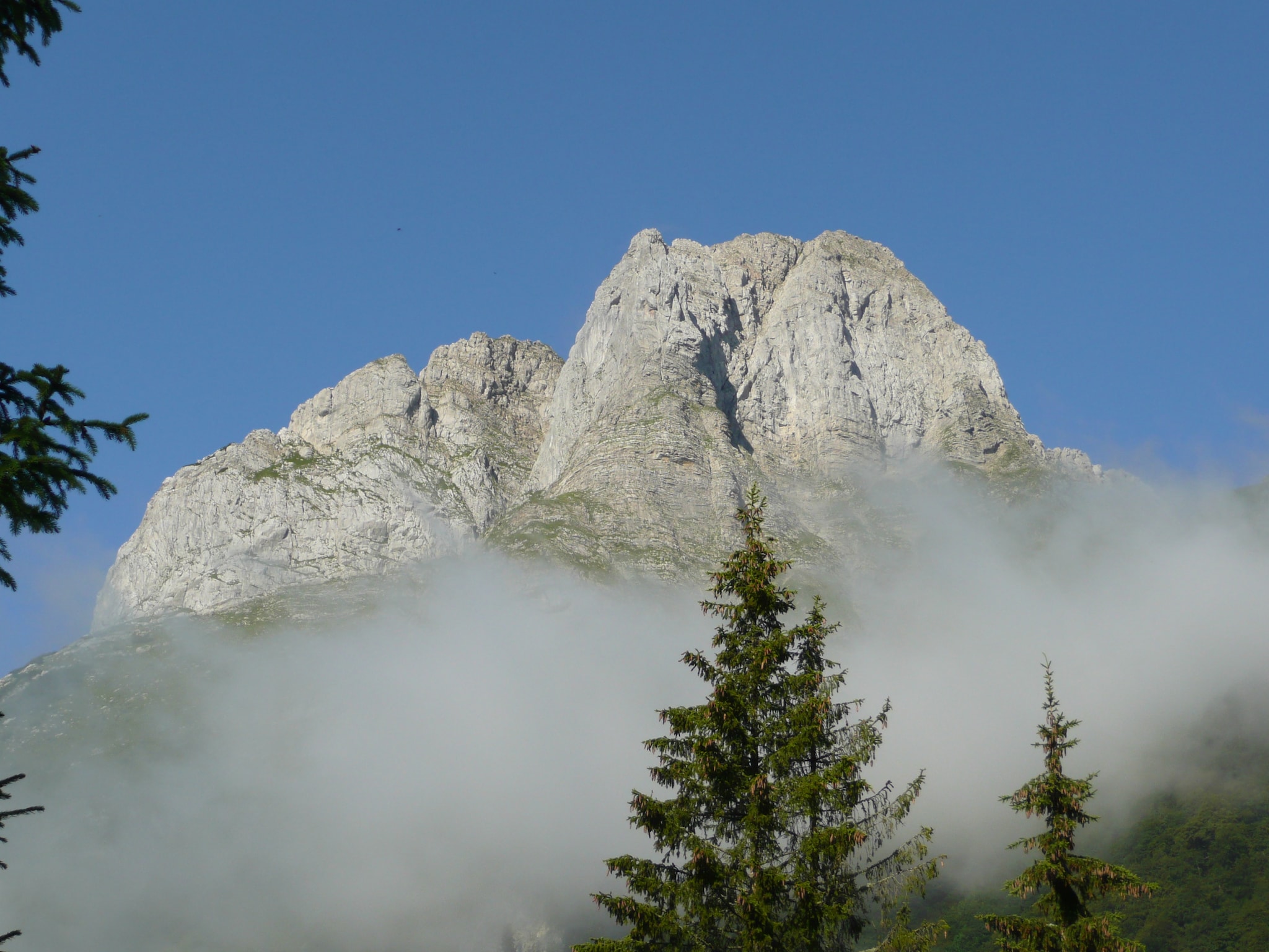Leilighet Steiner 4