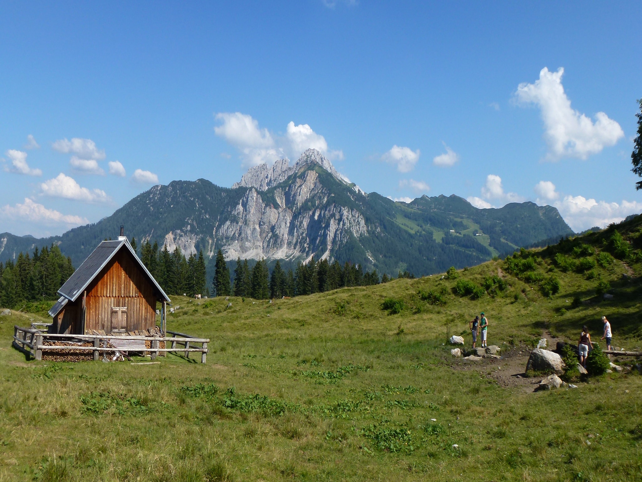 Leilighet Steiner 4