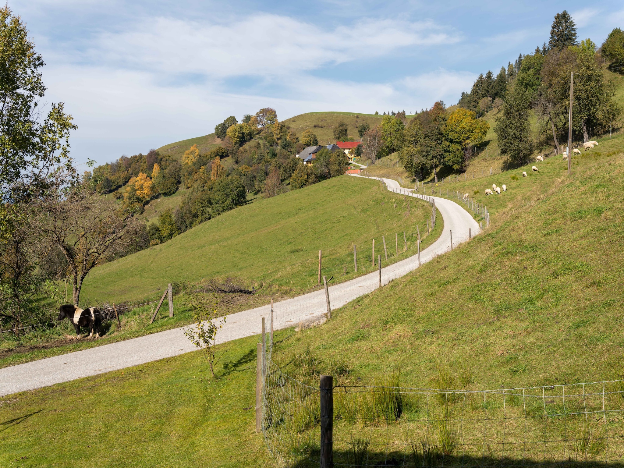   Kois Hütte