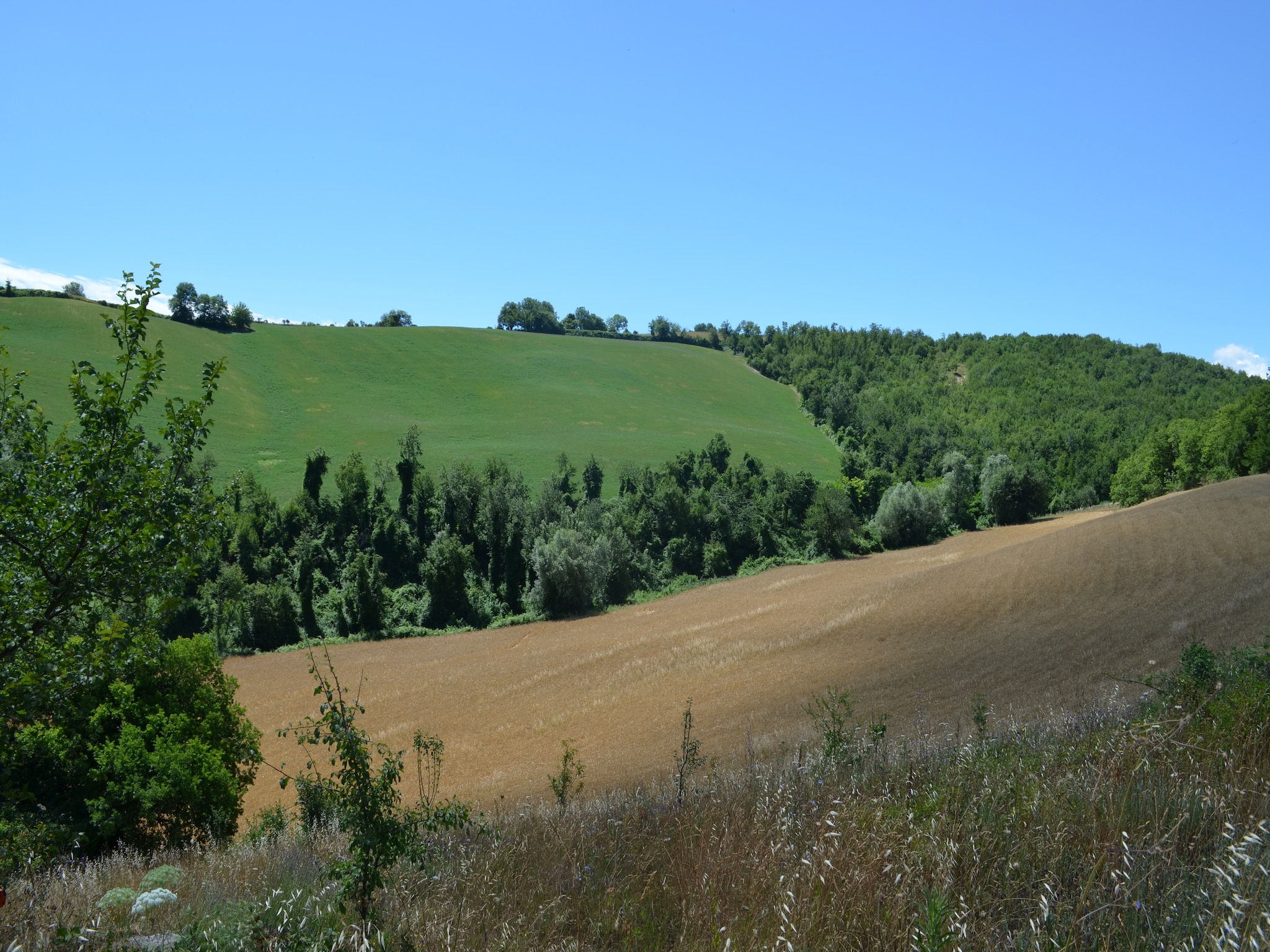 Feriebolig Fuoco