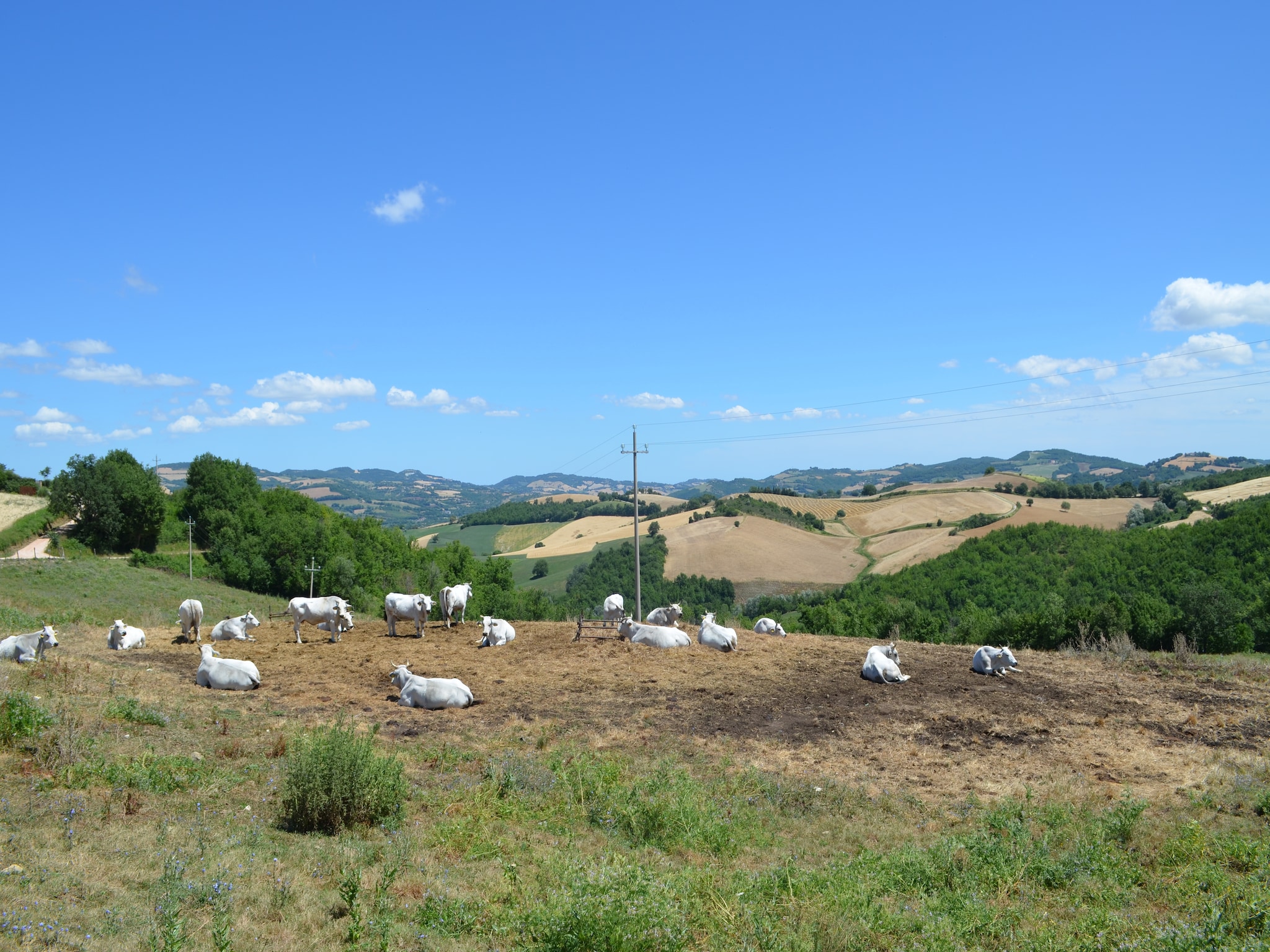 Feriebolig Fuoco