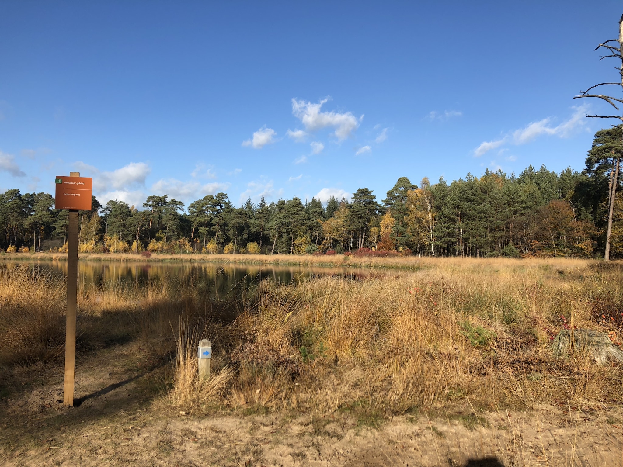 Feriebolig Landgoed de Klimberg